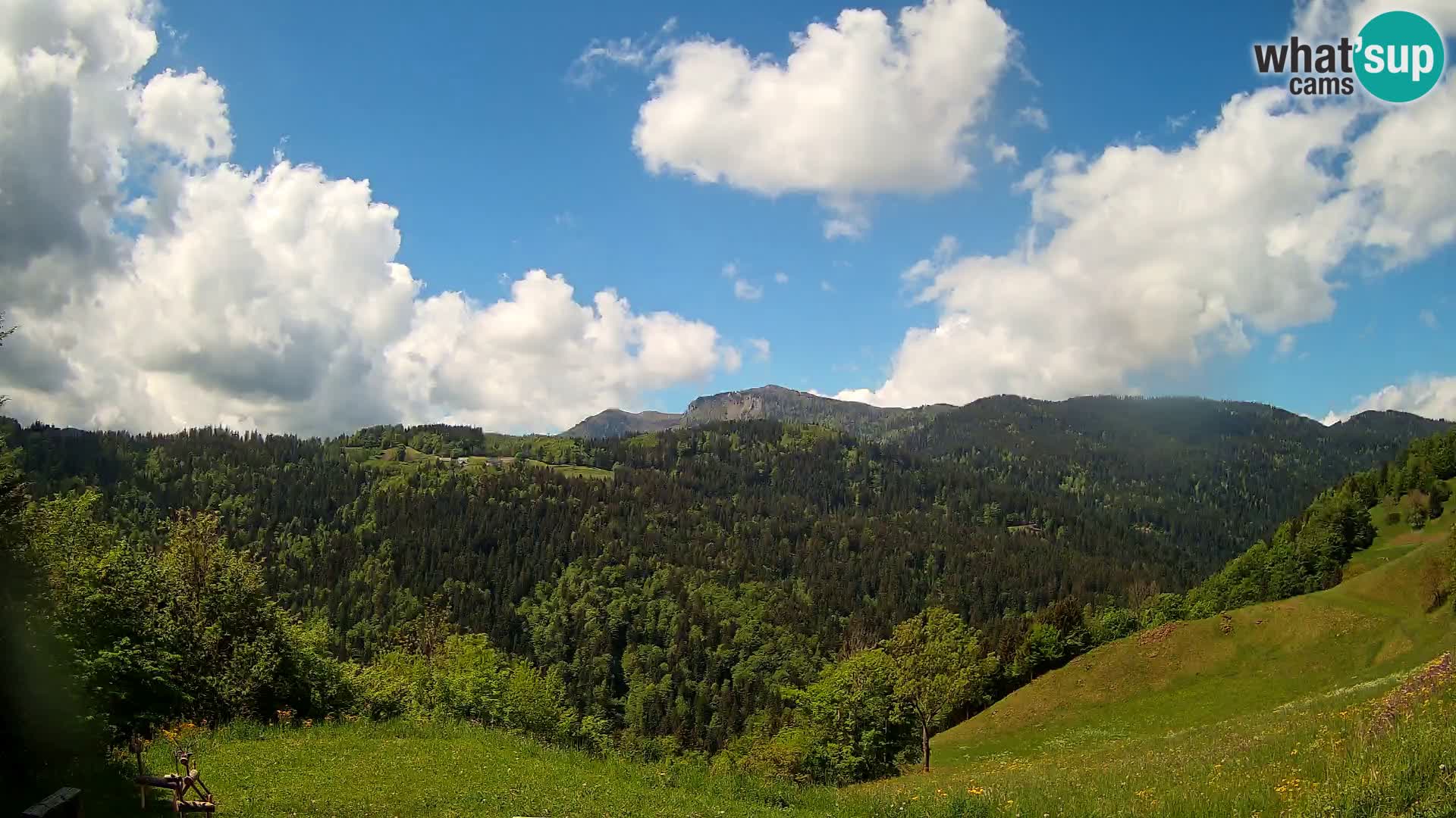 Webcam Brunarica Dražgoše – Live View of Ratitovec (1666 m)
