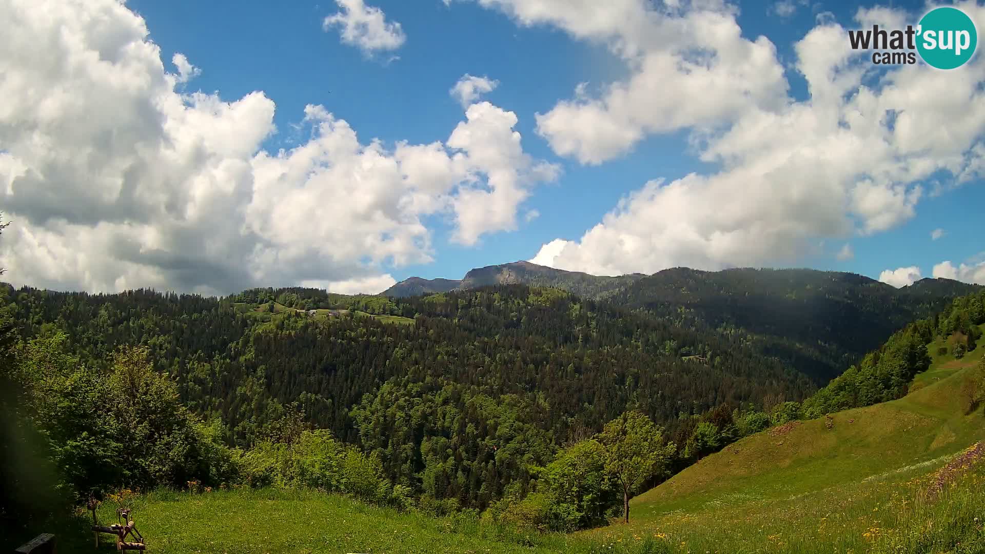Webcam Brunarica Dražgoše – Vista live sul Ratitovec (1666 m)