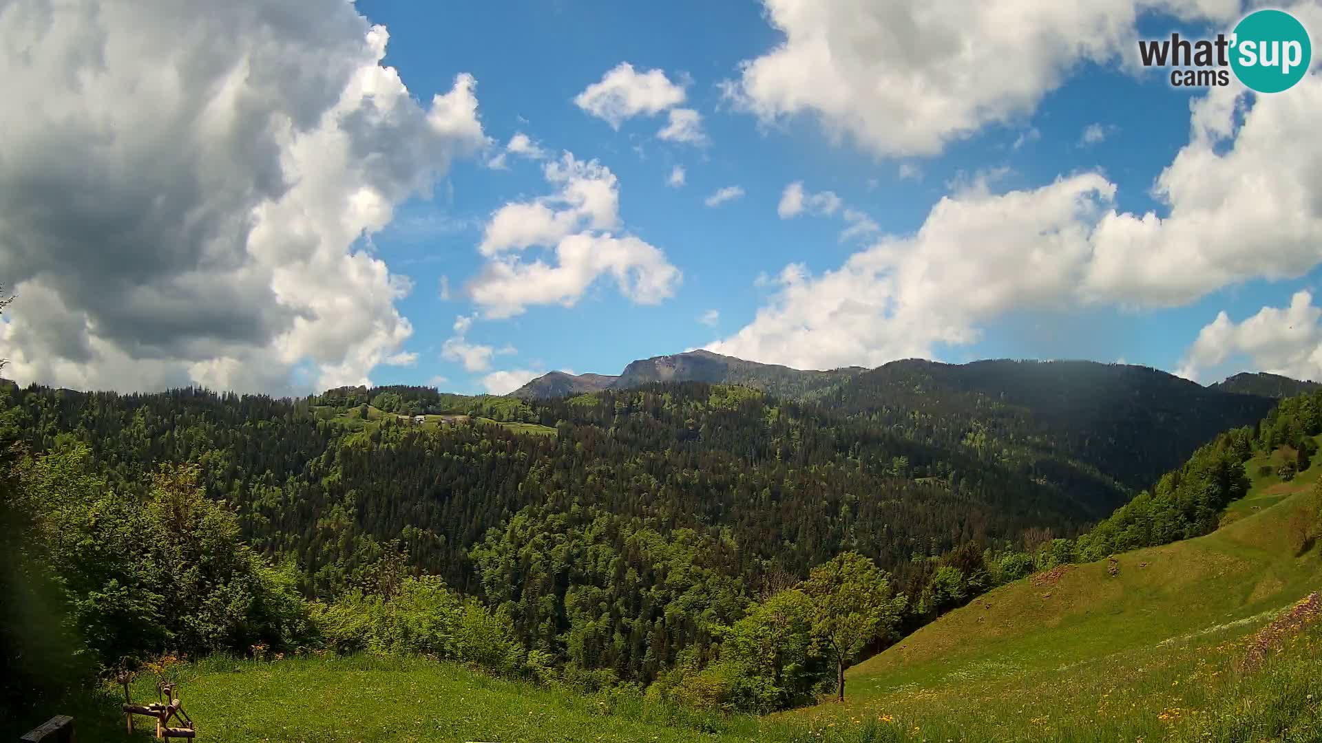Webcam Brunarica Dražgoše – Liveblick auf Ratitovec (1666 m)