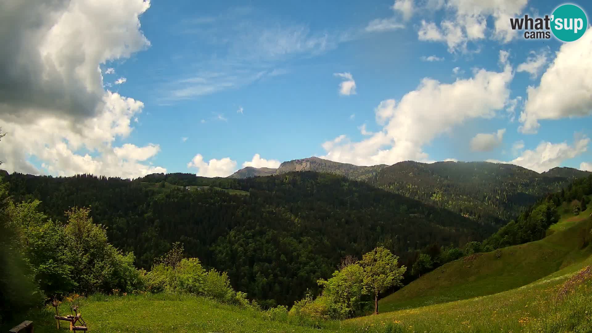 Webcam Brunarica Dražgoše – Live View of Ratitovec (1666 m)