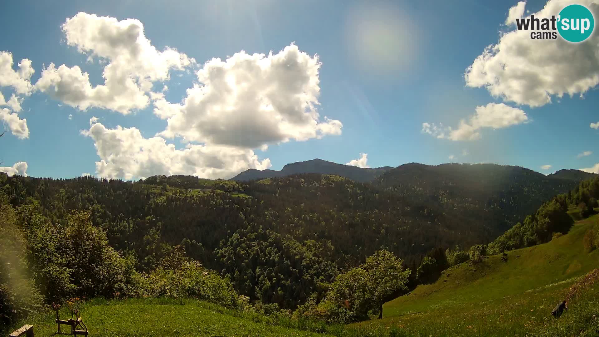Spletna kamera Brunarica Dražgoše – Pogled v živo na Ratitovec (1666 m)