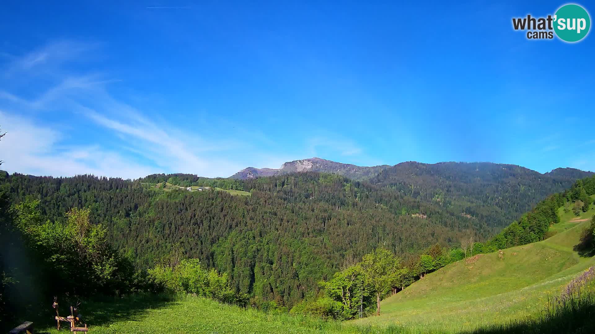 Webcam Brunarica Dražgoše – Live View of Ratitovec (1666 m)