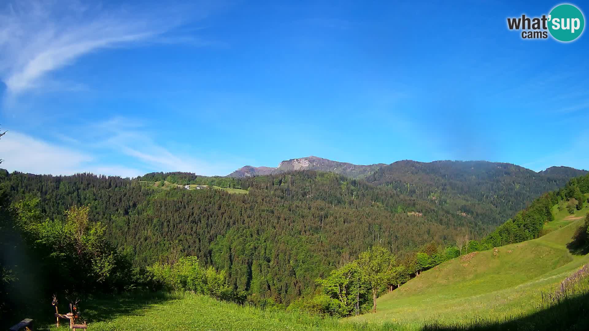Webcam Brunarica Dražgoše – Live View of Ratitovec (1666 m)