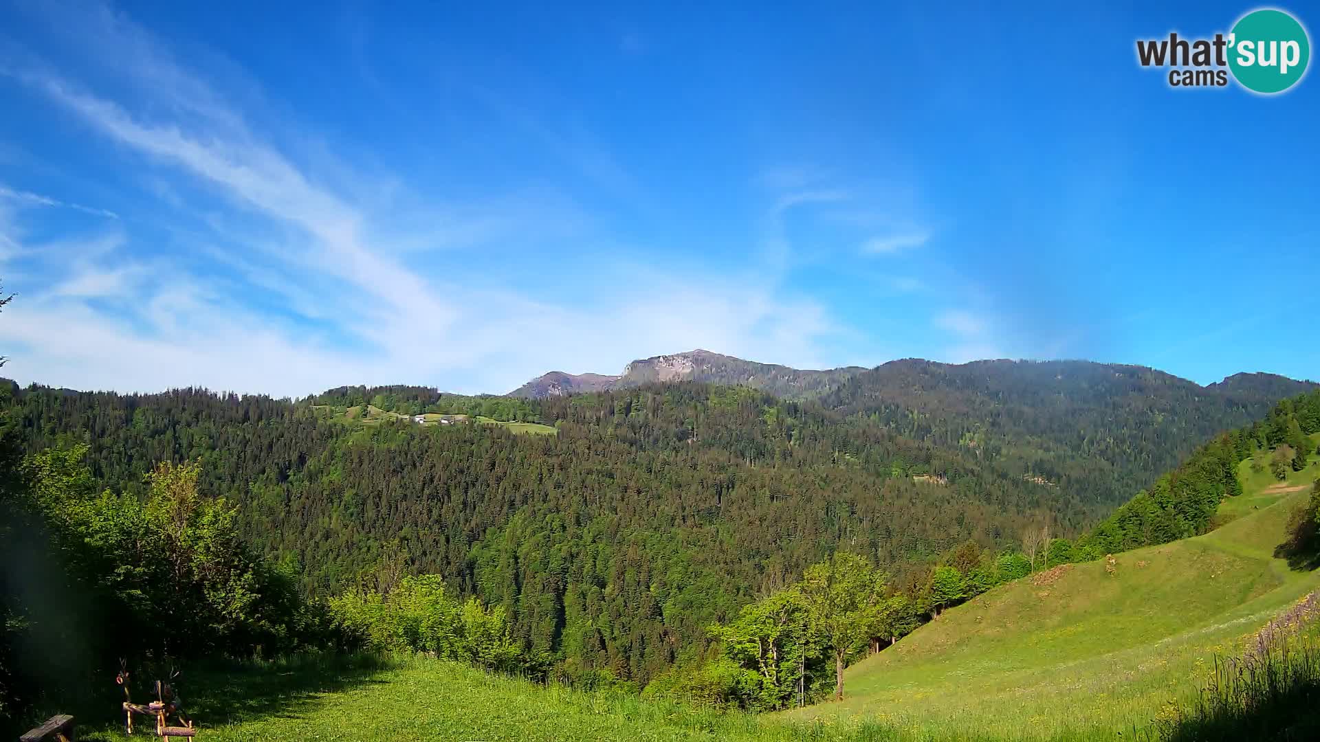 Webcam Brunarica Dražgoše – Live View of Ratitovec (1666 m)