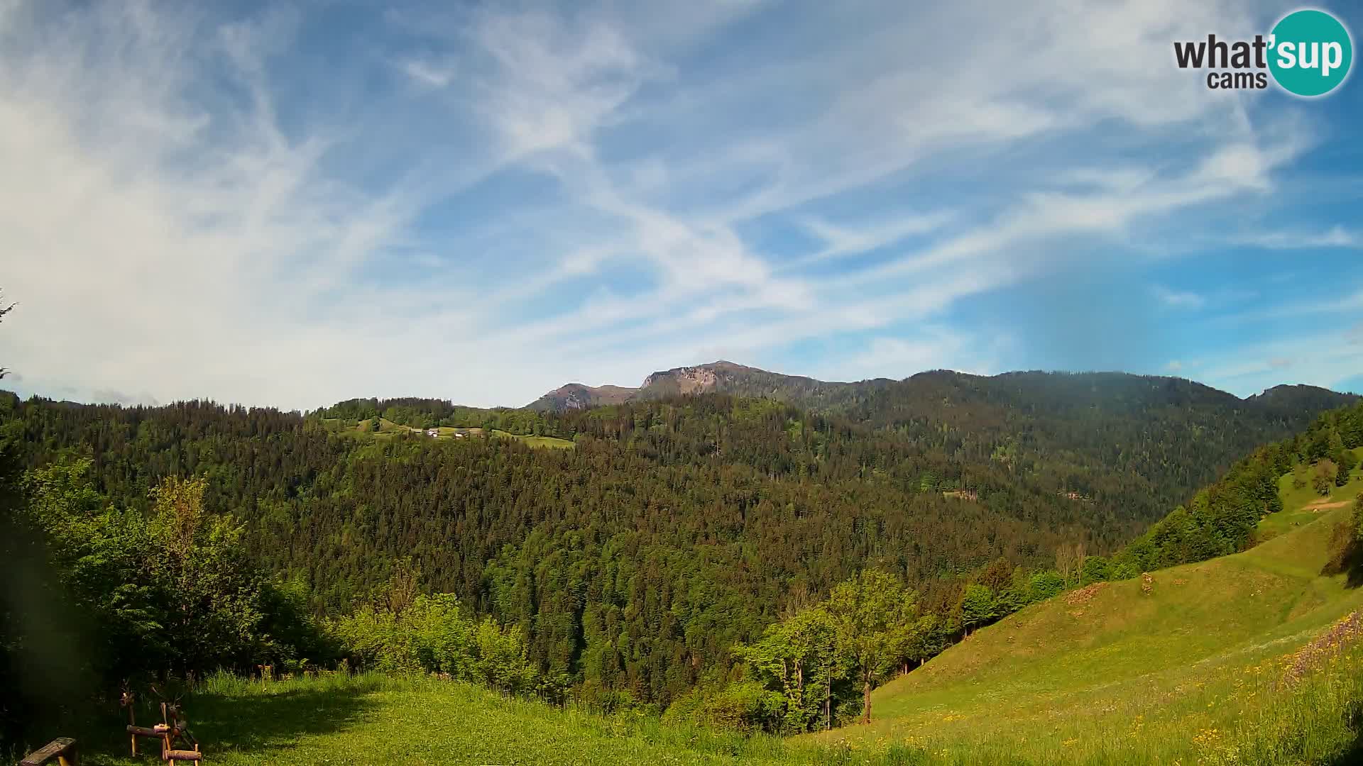 Webcam Brunarica Dražgoše – Live View of Ratitovec (1666 m)