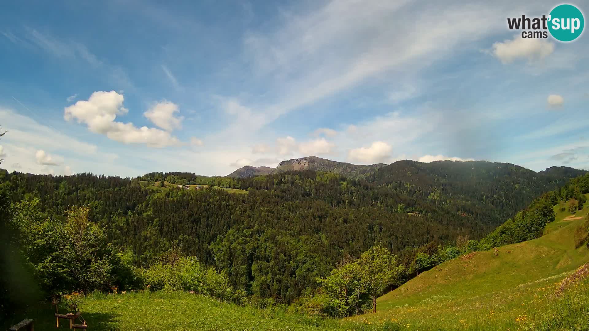 Webcam Brunarica Dražgoše – Live View of Ratitovec (1666 m)