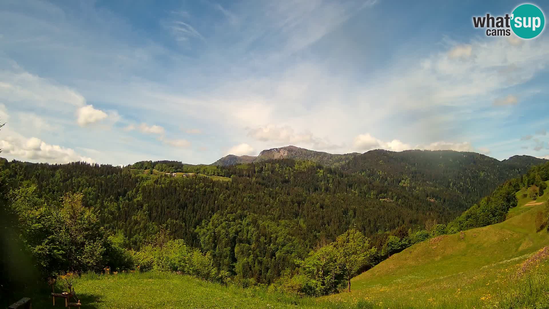 Webcam Brunarica Dražgoše – Live View of Ratitovec (1666 m)