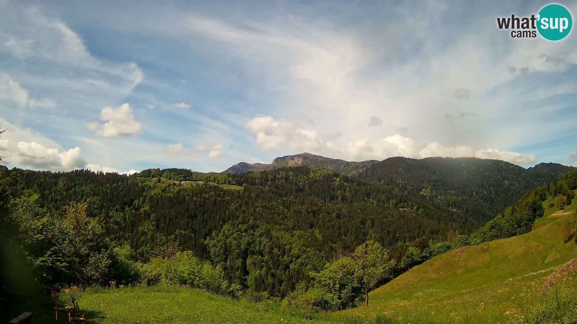 Webcam Brunarica Dražgoše – Live View of Ratitovec (1666 m)