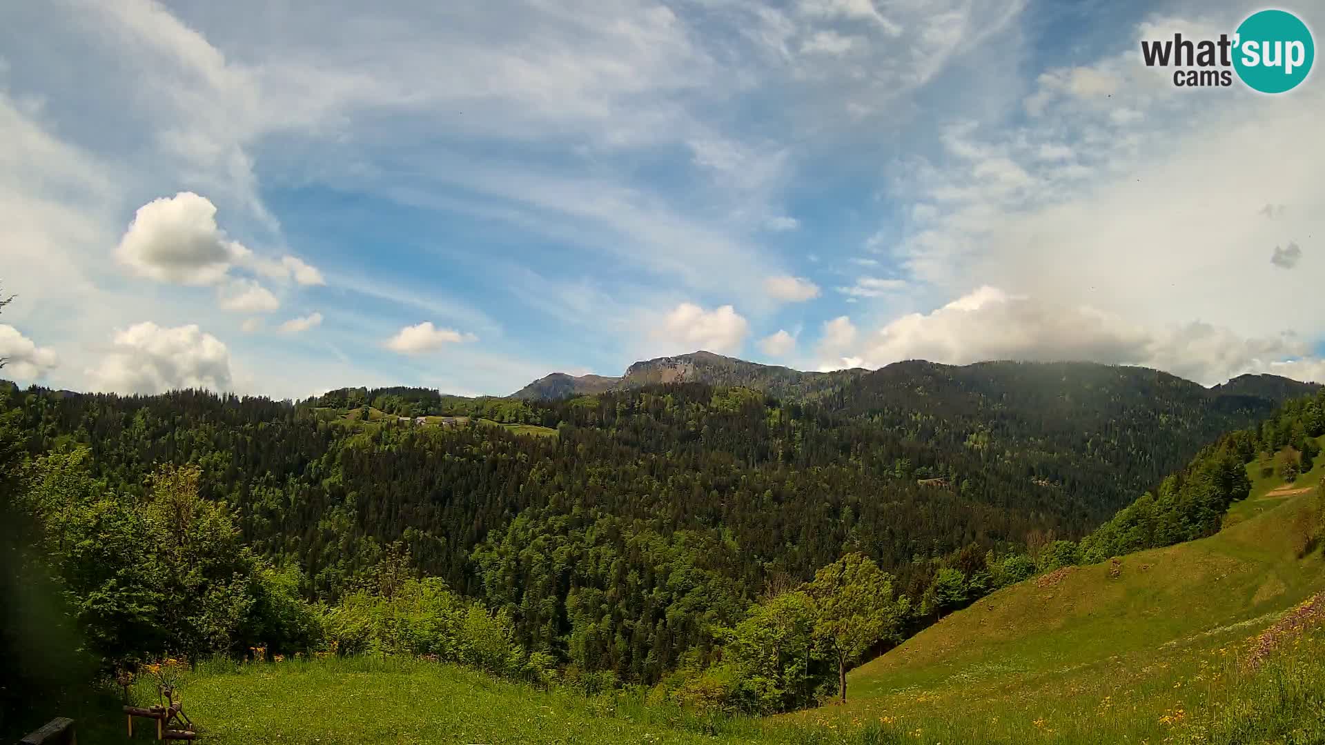 Webcam Brunarica Dražgoše – Live View of Ratitovec (1666 m)