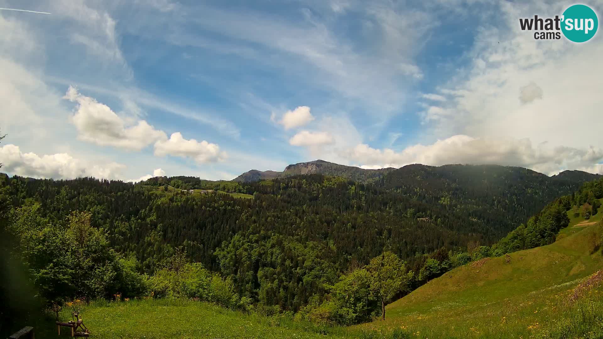 Webcam Brunarica Dražgoše – Live View of Ratitovec (1666 m)