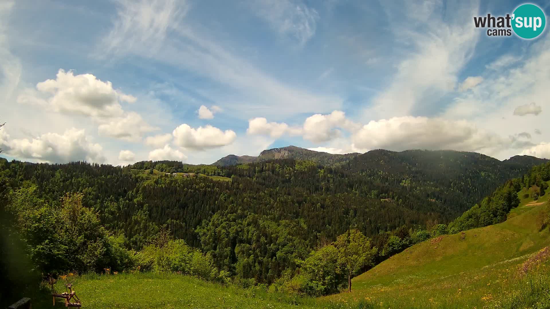 Webcam Brunarica Dražgoše – Live View of Ratitovec (1666 m)