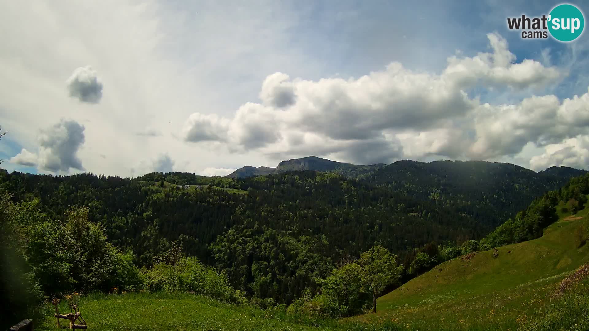 Webcam Brunarica Dražgoše – Live View of Ratitovec (1666 m)