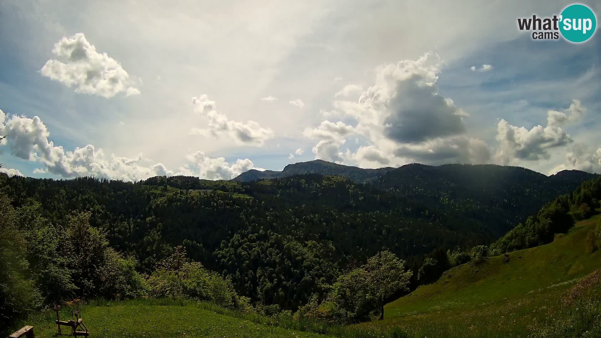 Webcam Brunarica Dražgoše – Live View of Ratitovec (1666 m)