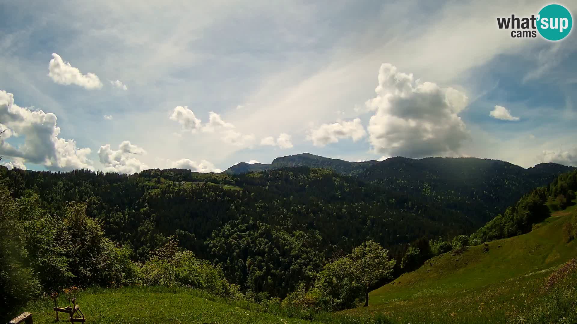 Webcam Brunarica Dražgoše – Live View of Ratitovec (1666 m)