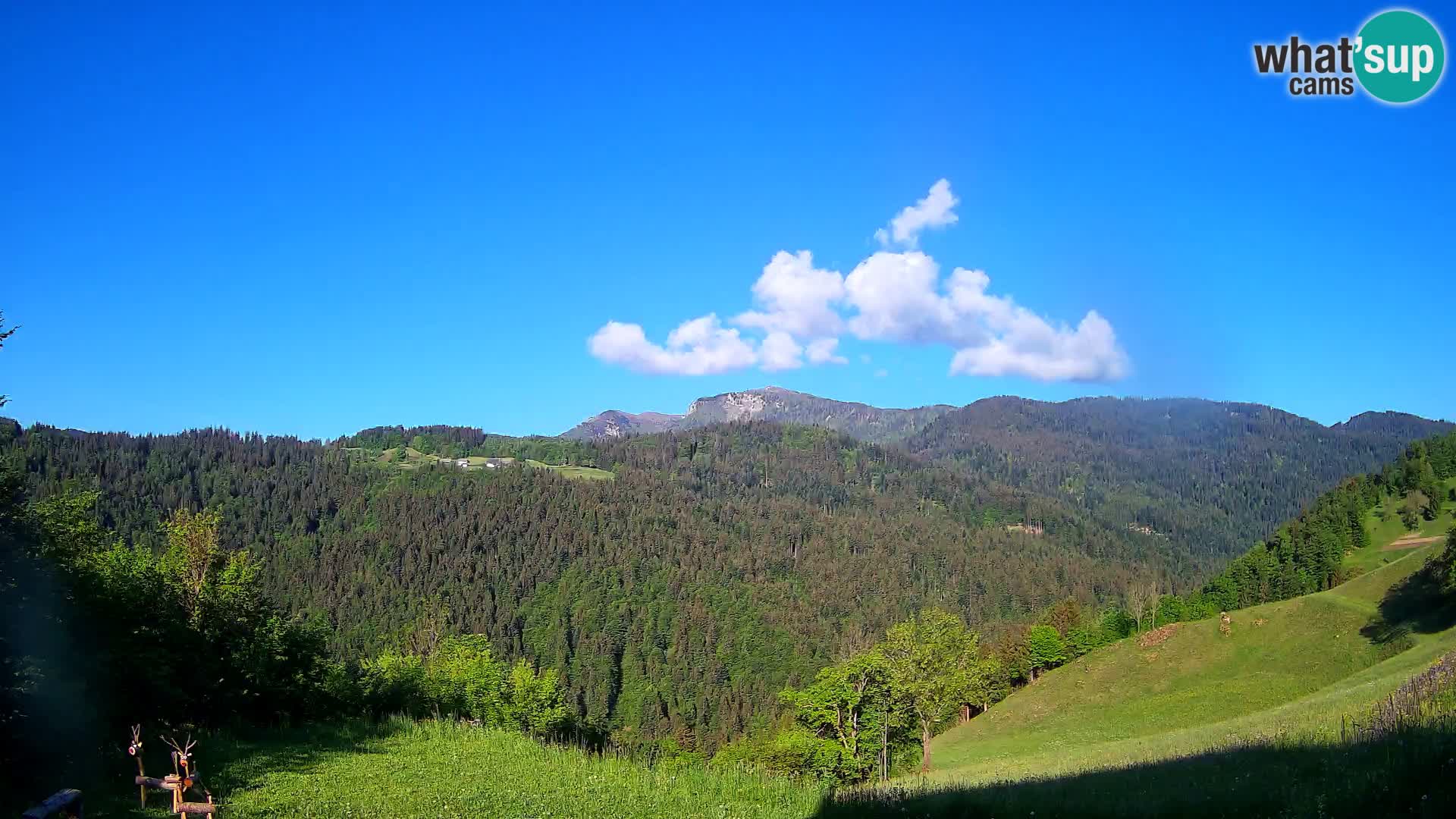 Spletna kamera Brunarica Dražgoše – Pogled v živo na Ratitovec (1666 m)