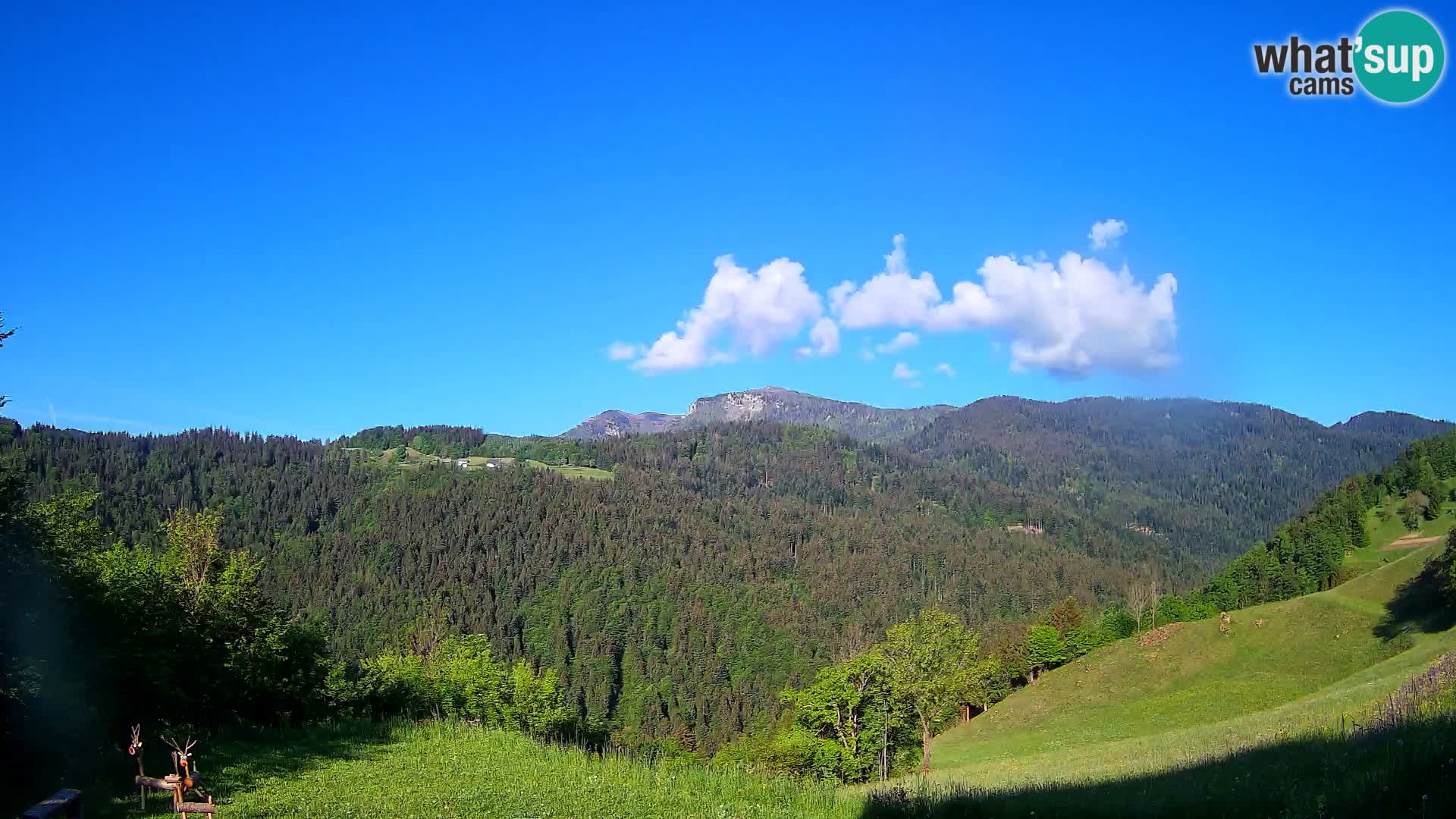 Webcam Brunarica Dražgoše – Vista live sul Ratitovec (1666 m)