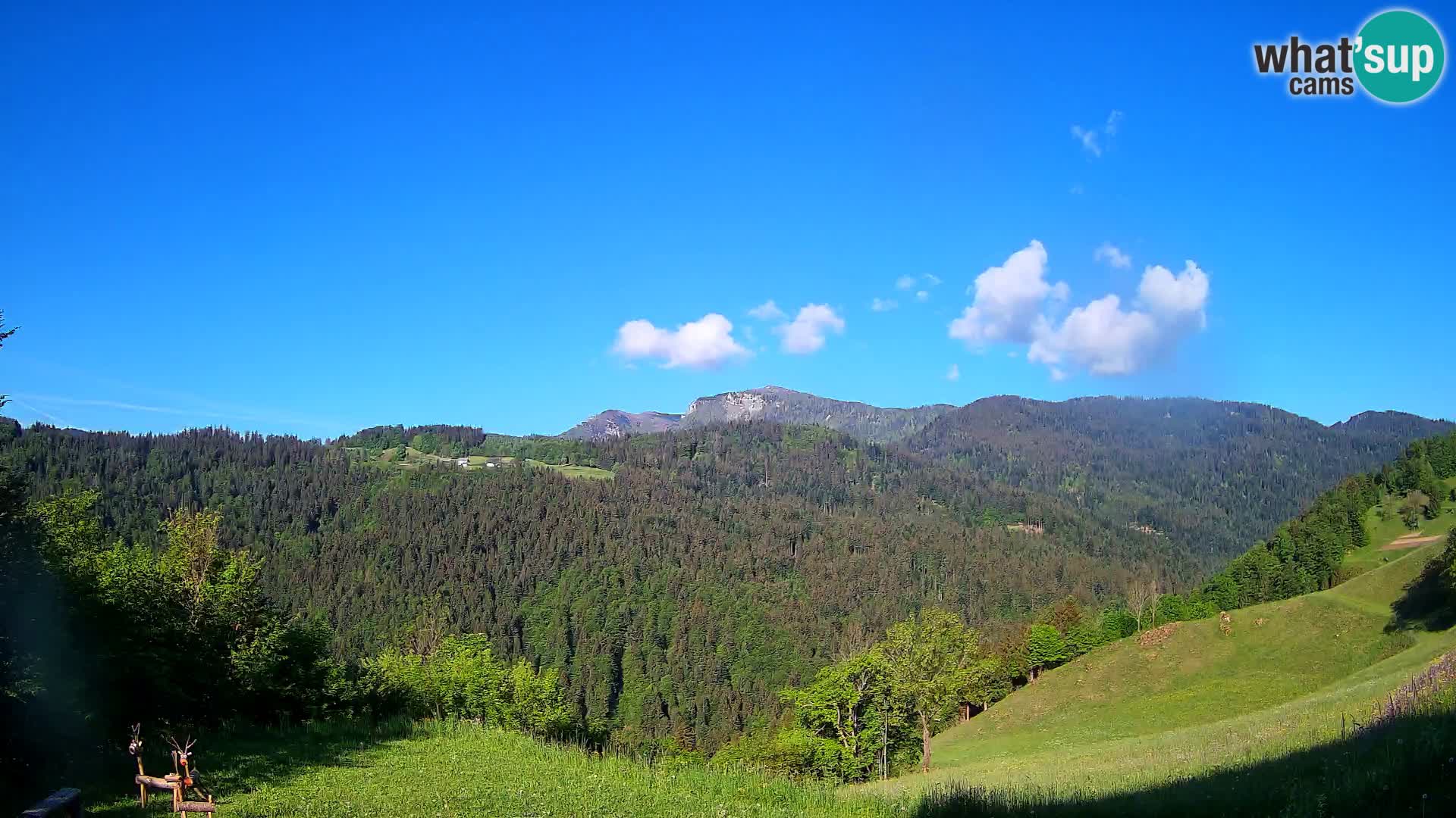 Webcam Brunarica Dražgoše – Liveblick auf Ratitovec (1666 m)