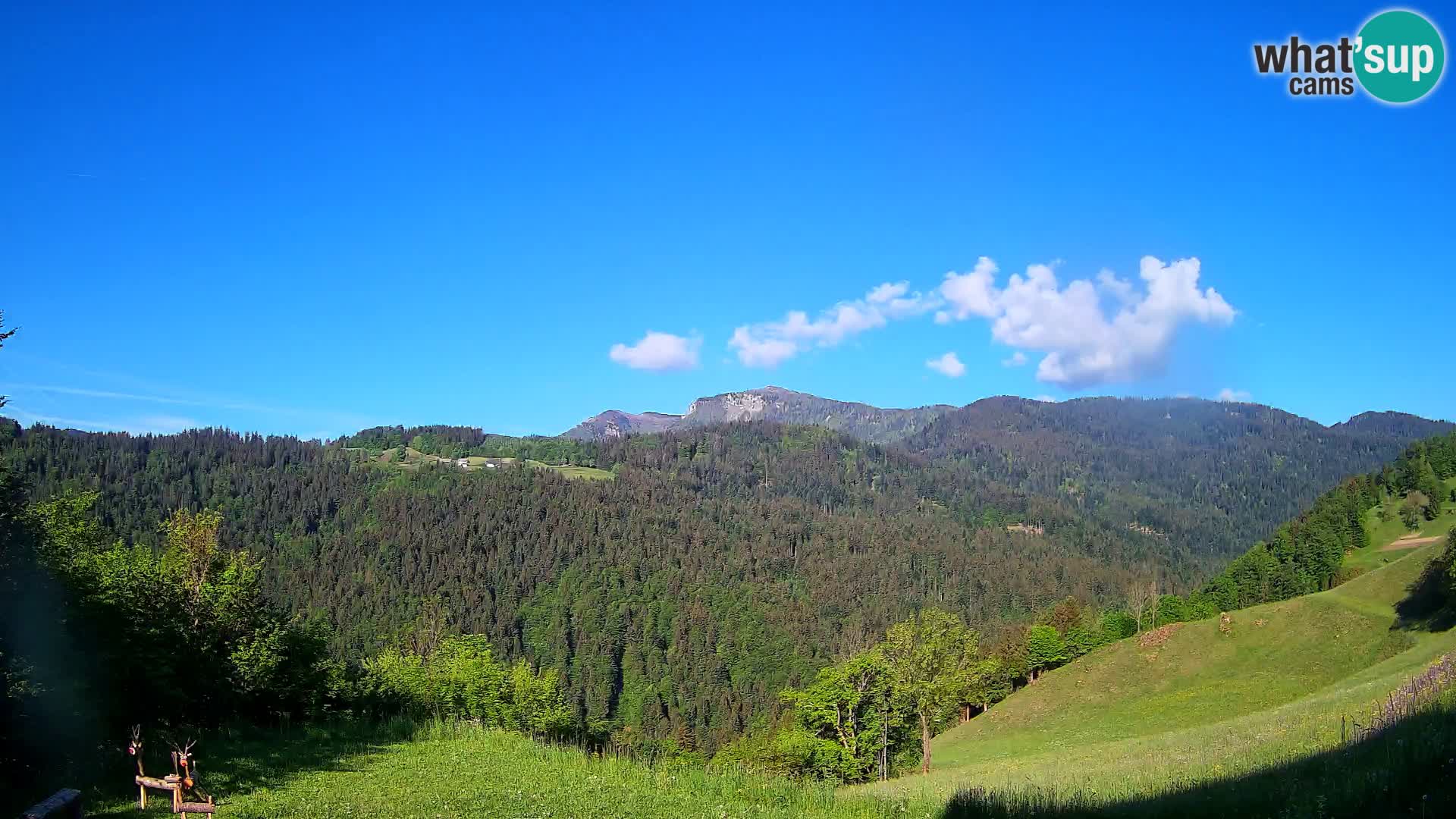 Webcam Brunarica Dražgoše – Live View of Ratitovec (1666 m)