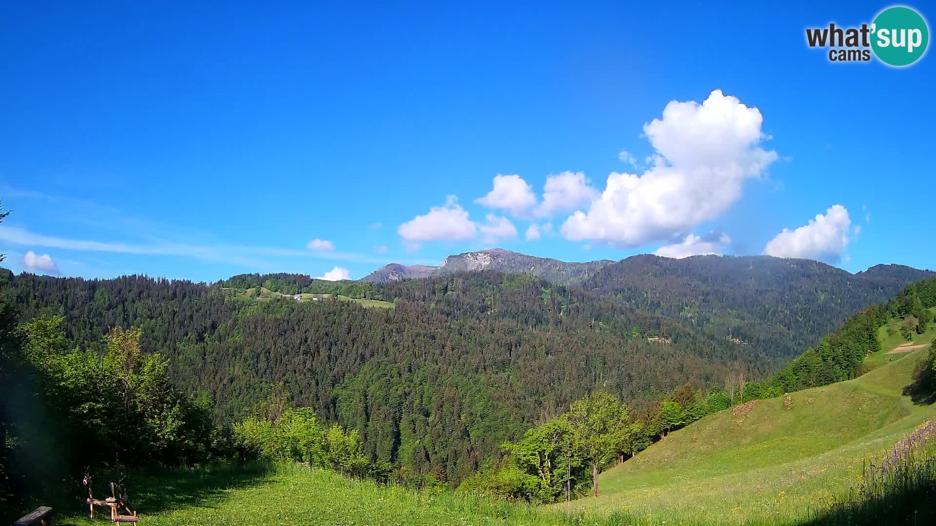 Webcam Brunarica Dražgoše – Live View of Ratitovec (1666 m)