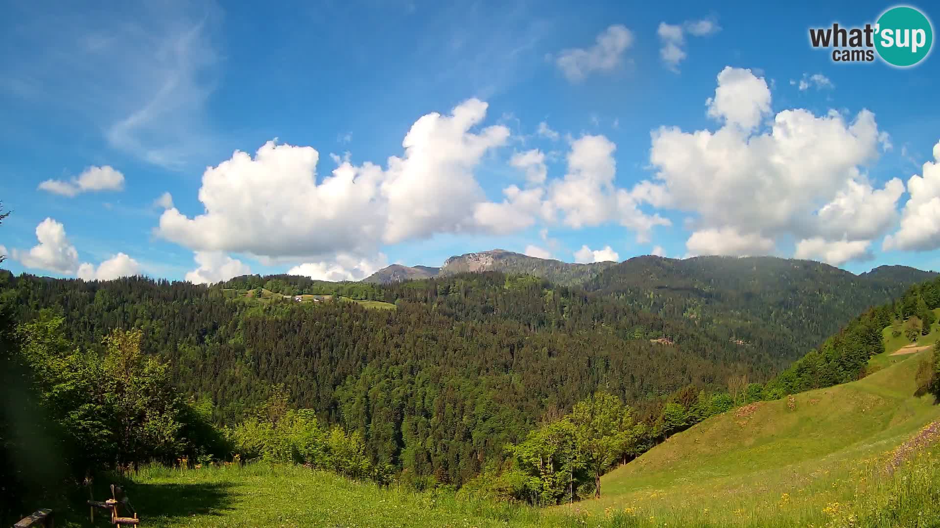 Webcam Brunarica Dražgoše – Live View of Ratitovec (1666 m)