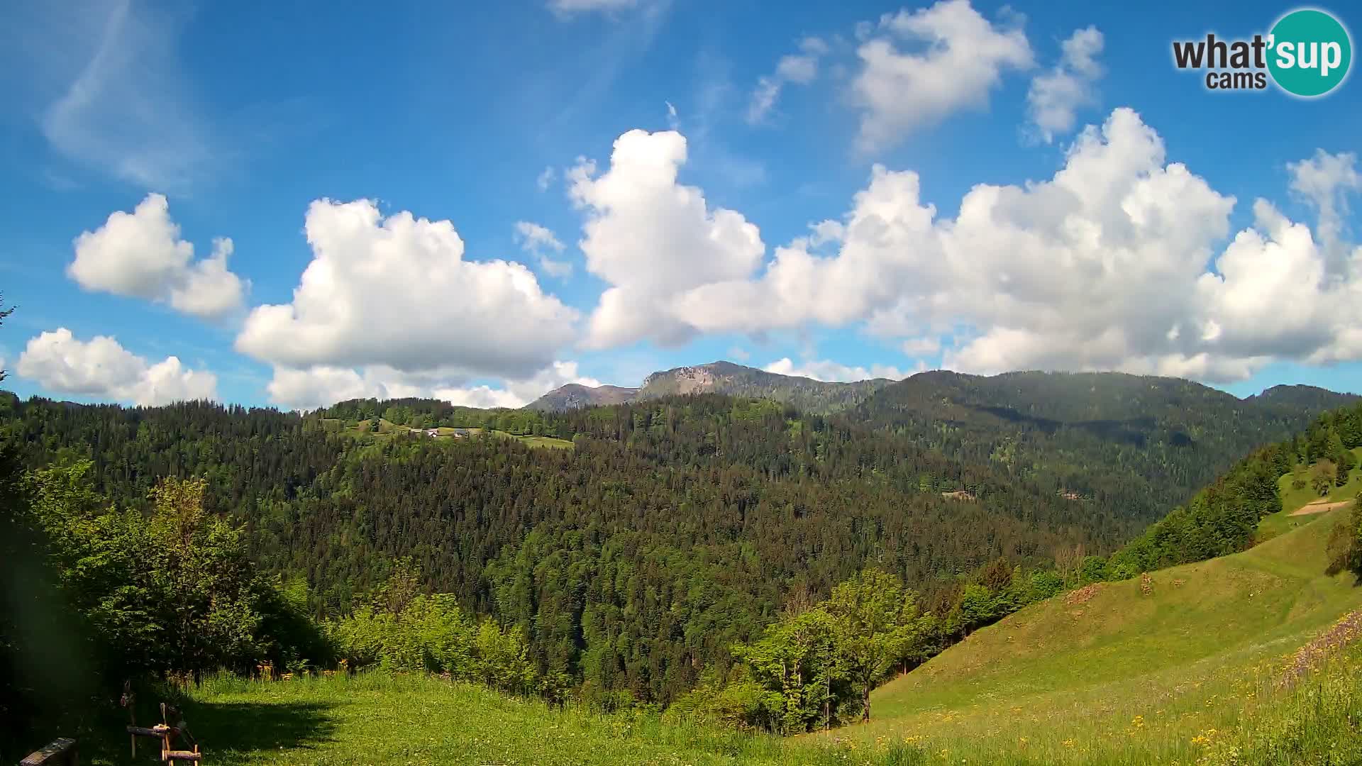 Spletna kamera Brunarica Dražgoše – Pogled v živo na Ratitovec (1666 m)
