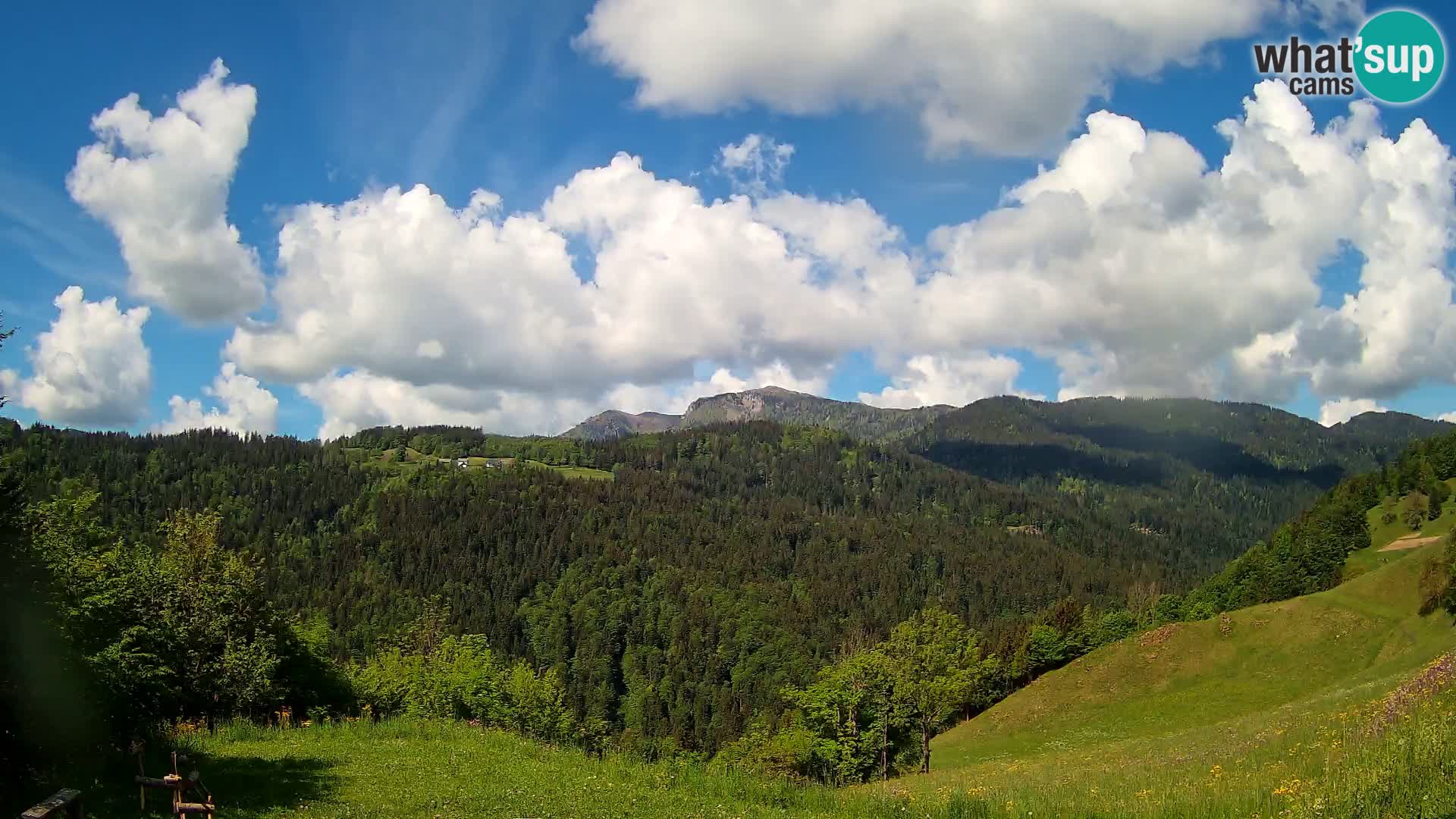Webcam Brunarica Dražgoše – Live View of Ratitovec (1666 m)
