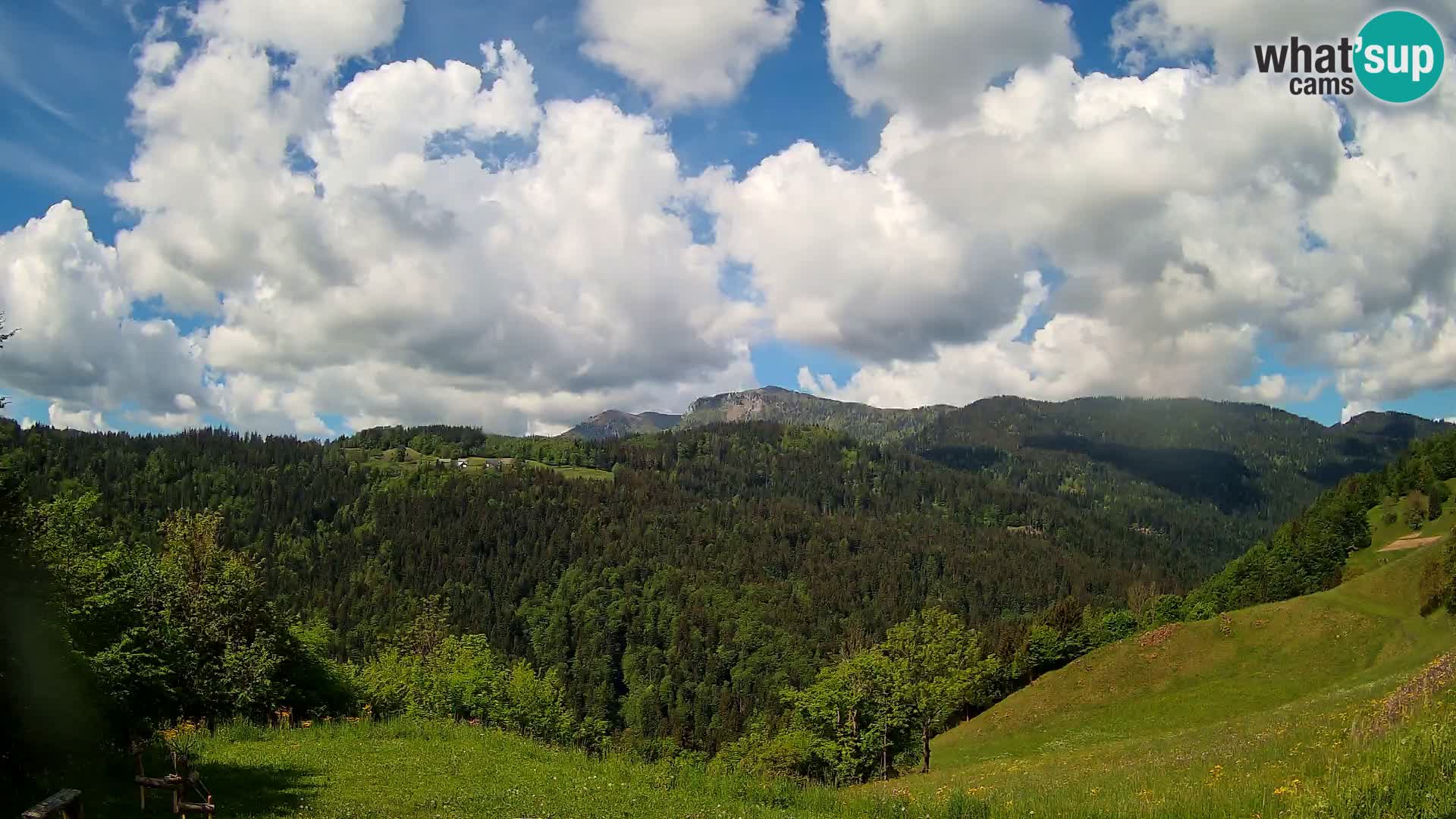 Webcam Brunarica Dražgoše – Vista live sul Ratitovec (1666 m)