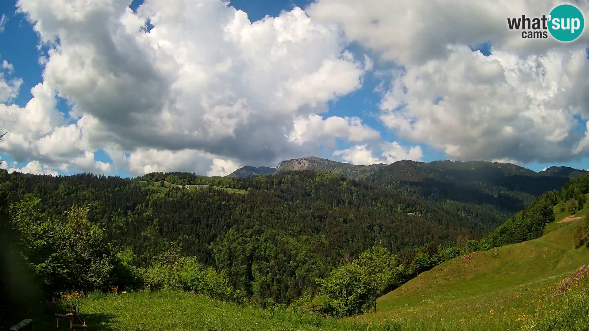 Webcam Brunarica Dražgoše – Live View of Ratitovec (1666 m)