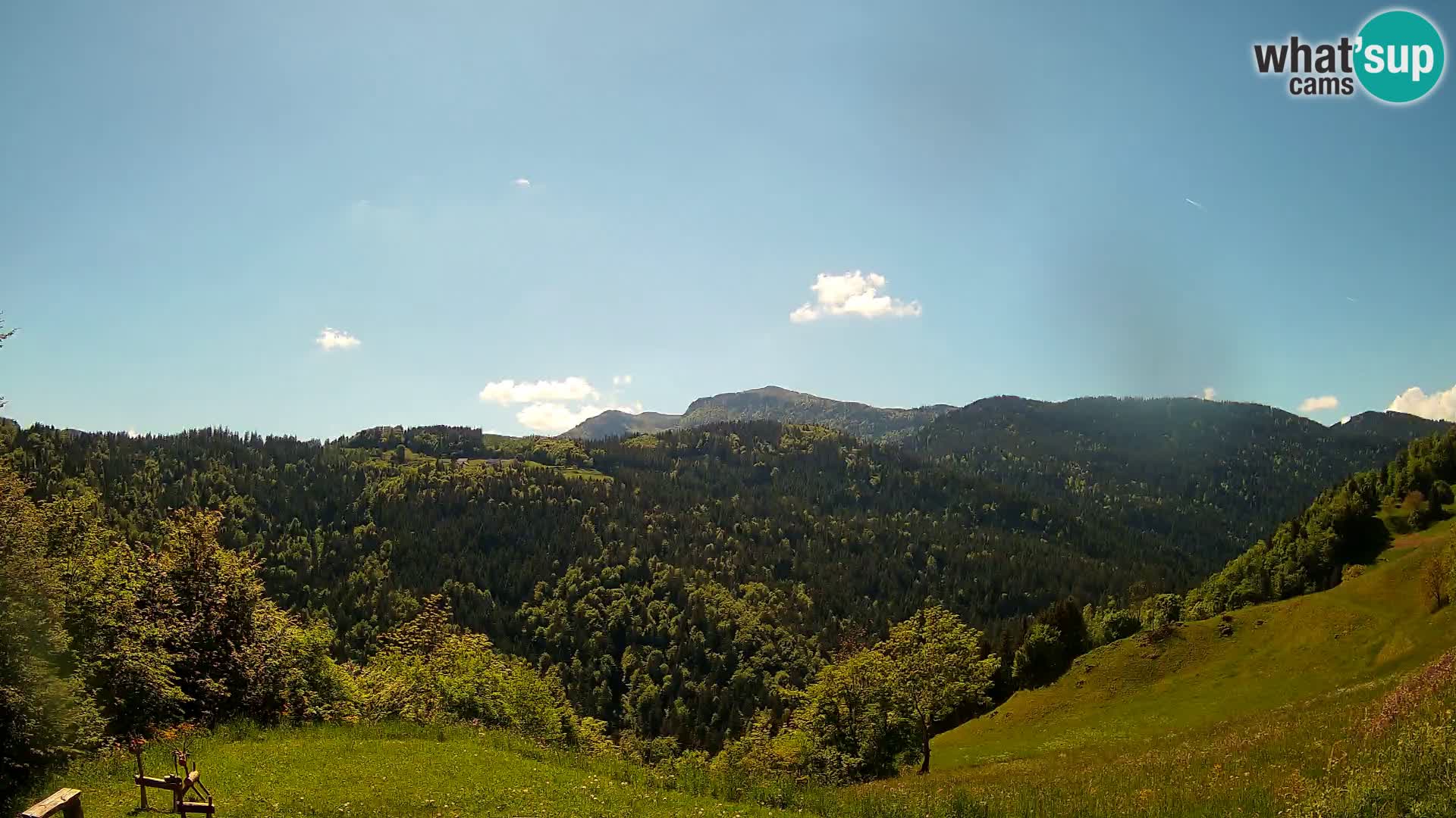 Webcam Brunarica Dražgoše – Live View of Ratitovec (1666 m)