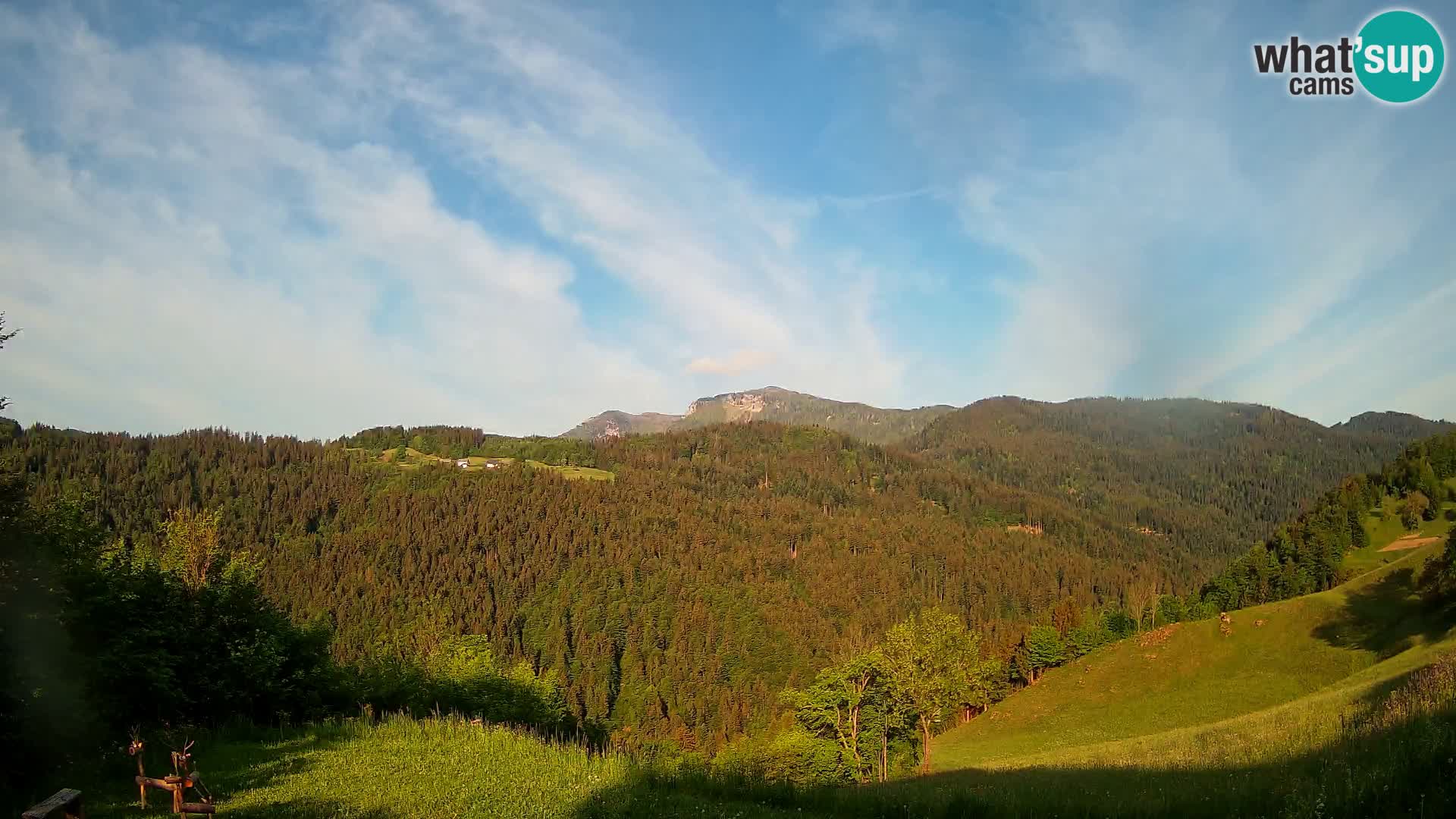 Webcam Brunarica Dražgoše – Live View of Ratitovec (1666 m)