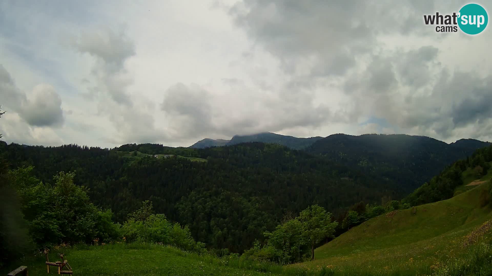Webcam Brunarica Dražgoše – Live View of Ratitovec (1666 m)