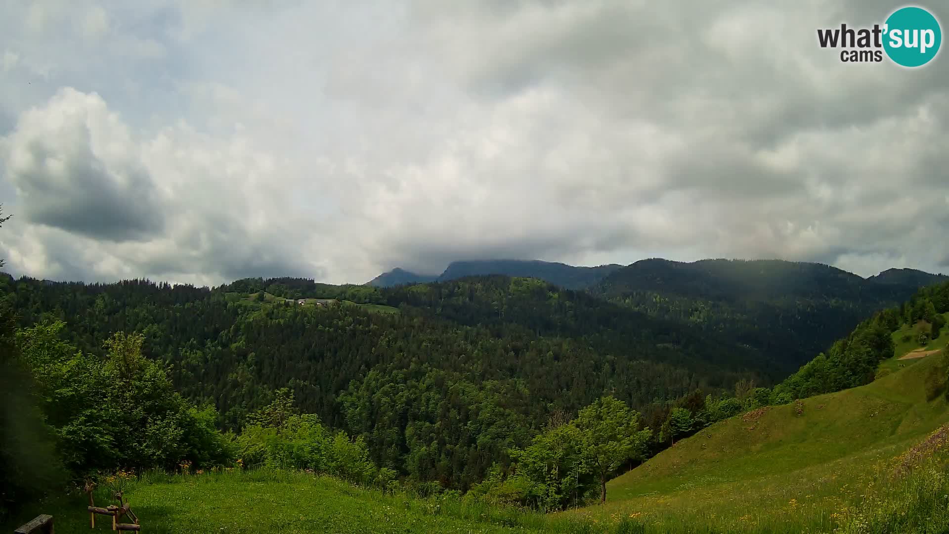 Webcam Brunarica Dražgoše – Live View of Ratitovec (1666 m)