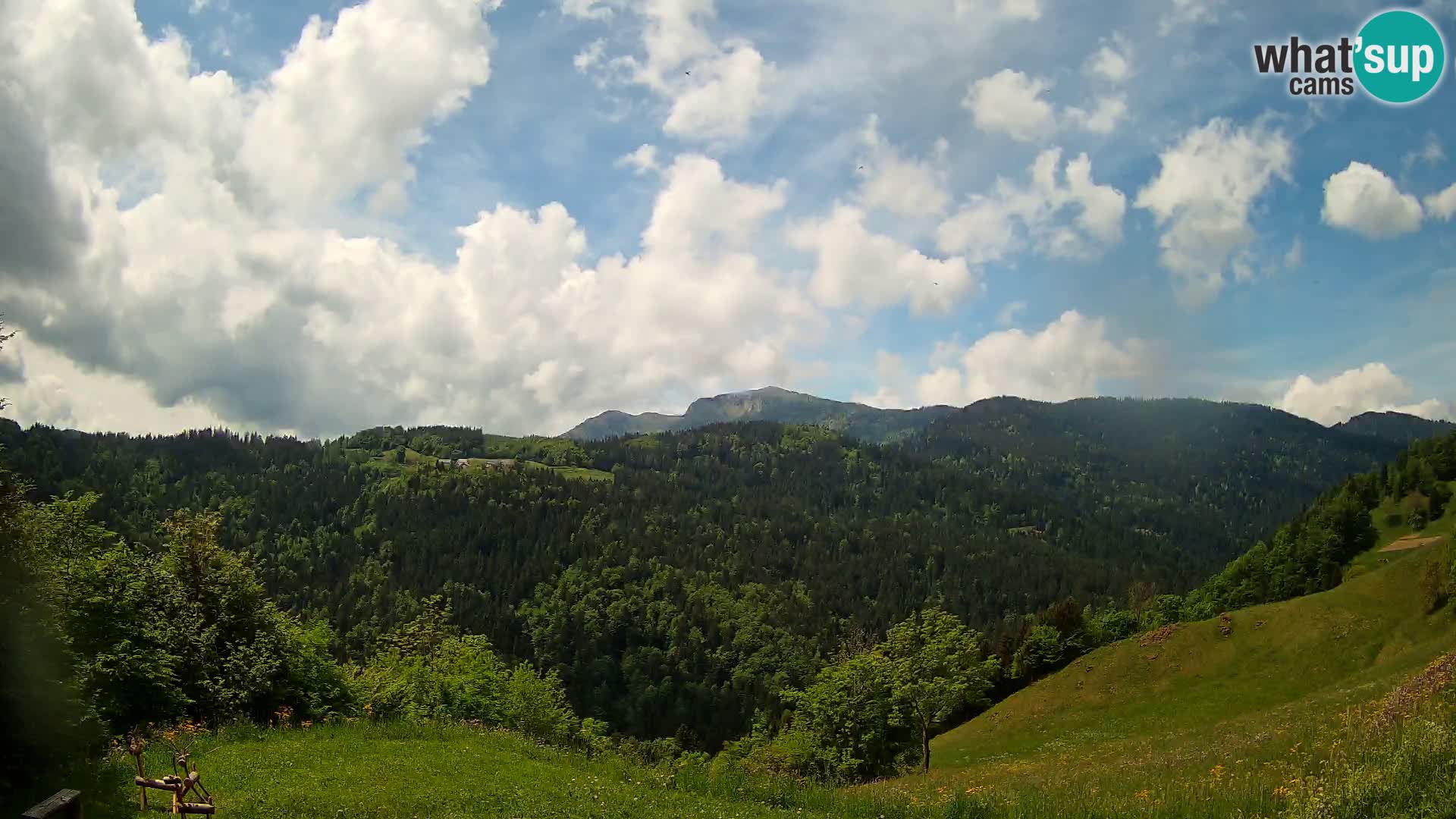 Webcam Brunarica Dražgoše – Live View of Ratitovec (1666 m)