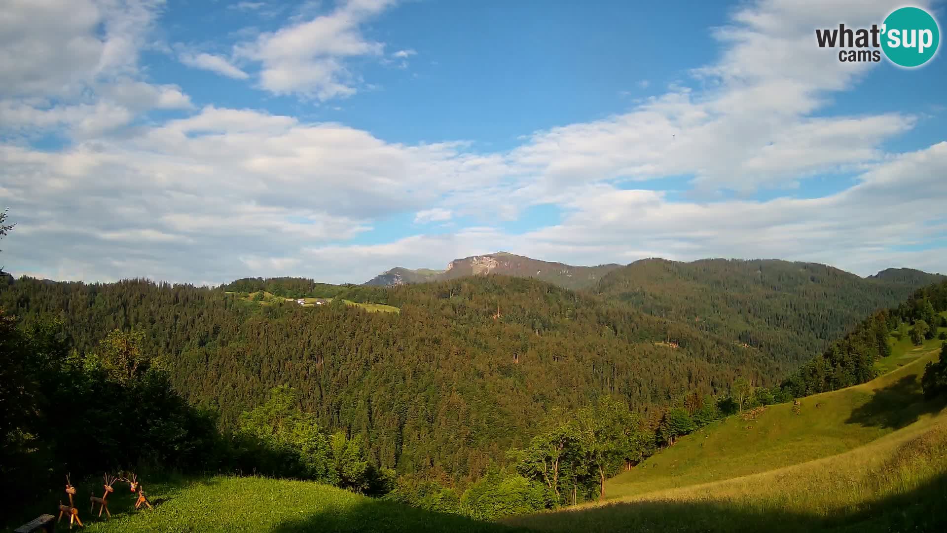 Webcam Brunarica Dražgoše – Live View of Ratitovec (1666 m)