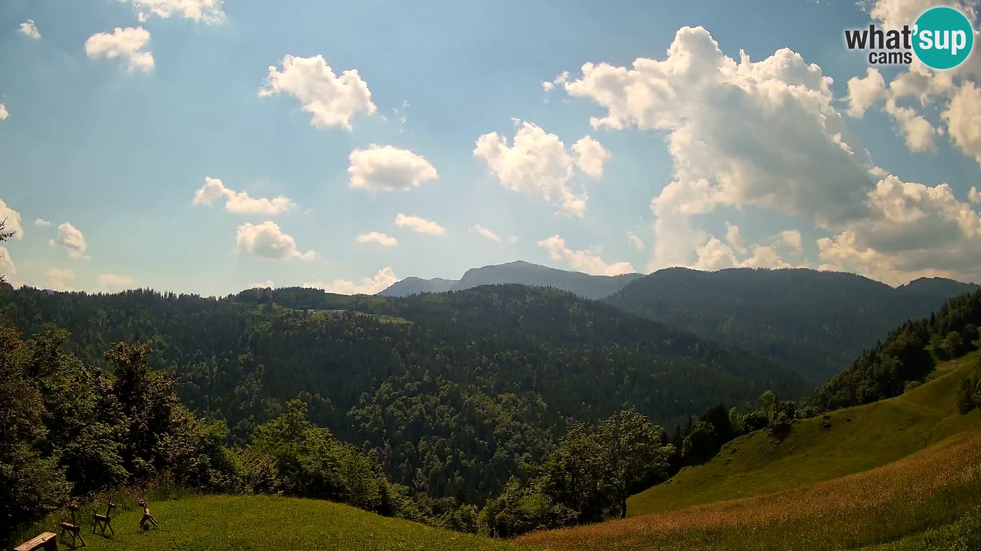 Webcam Brunarica Dražgoše – Live View of Ratitovec (1666 m)