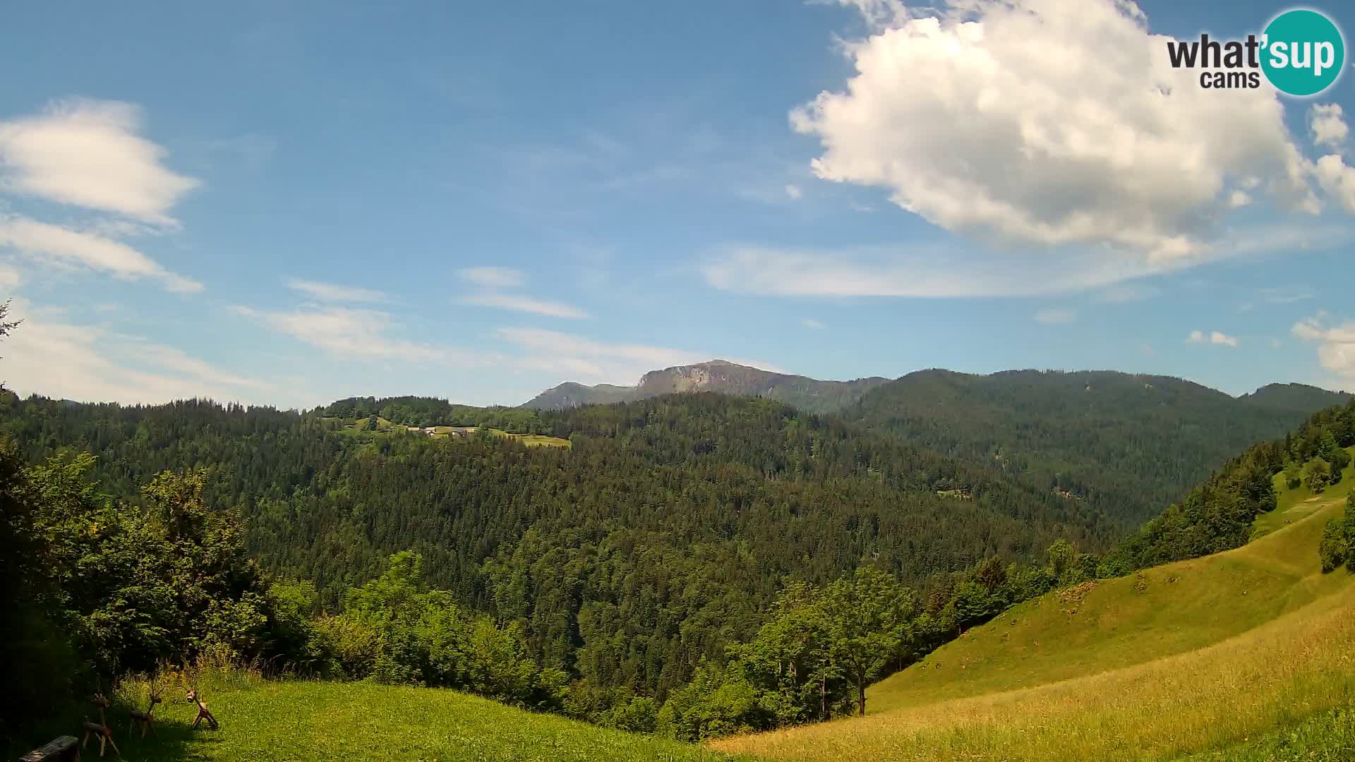 Webcam Brunarica Dražgoše – Vista live sul Ratitovec (1666 m)