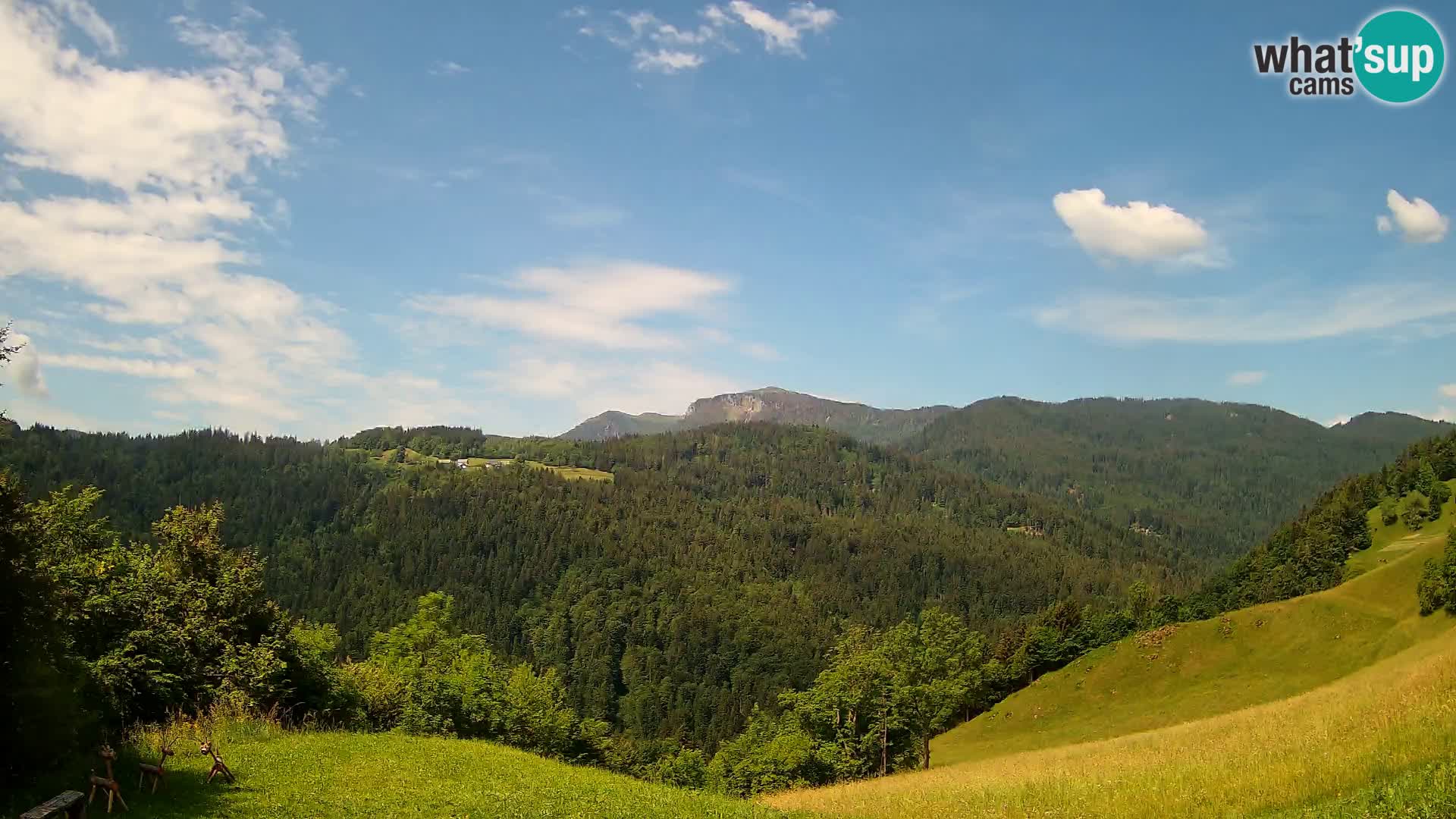 Webcam Brunarica Dražgoše – Live View of Ratitovec (1666 m)