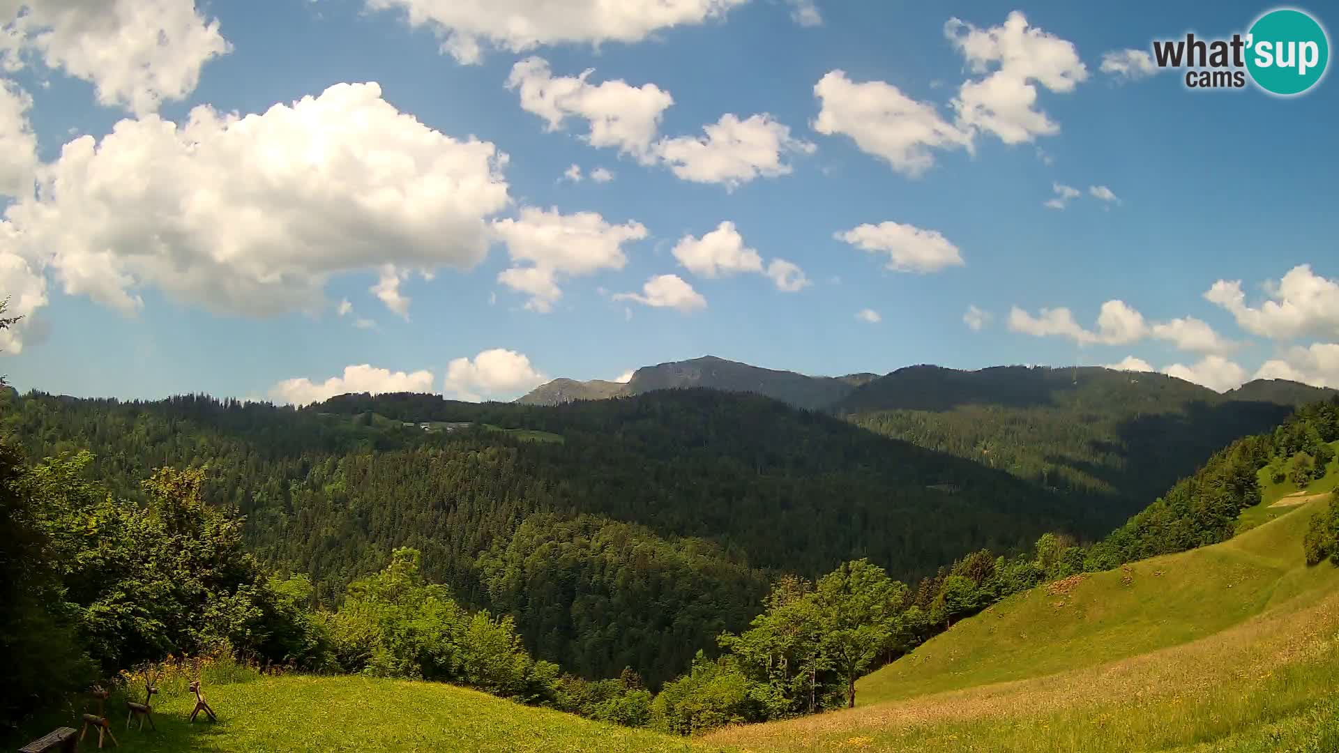 Webcam Brunarica Dražgoše – Live View of Ratitovec (1666 m)