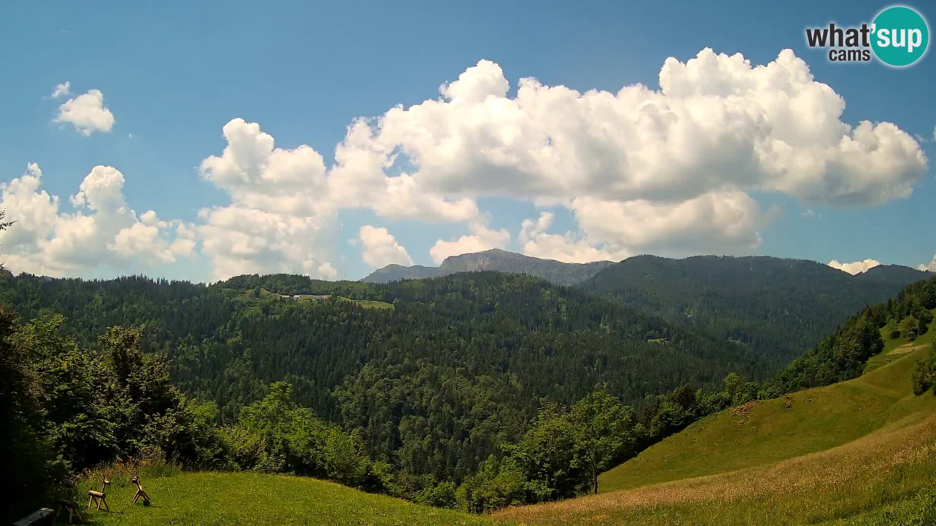 Webcam Brunarica Dražgoše – Live View of Ratitovec (1666 m)