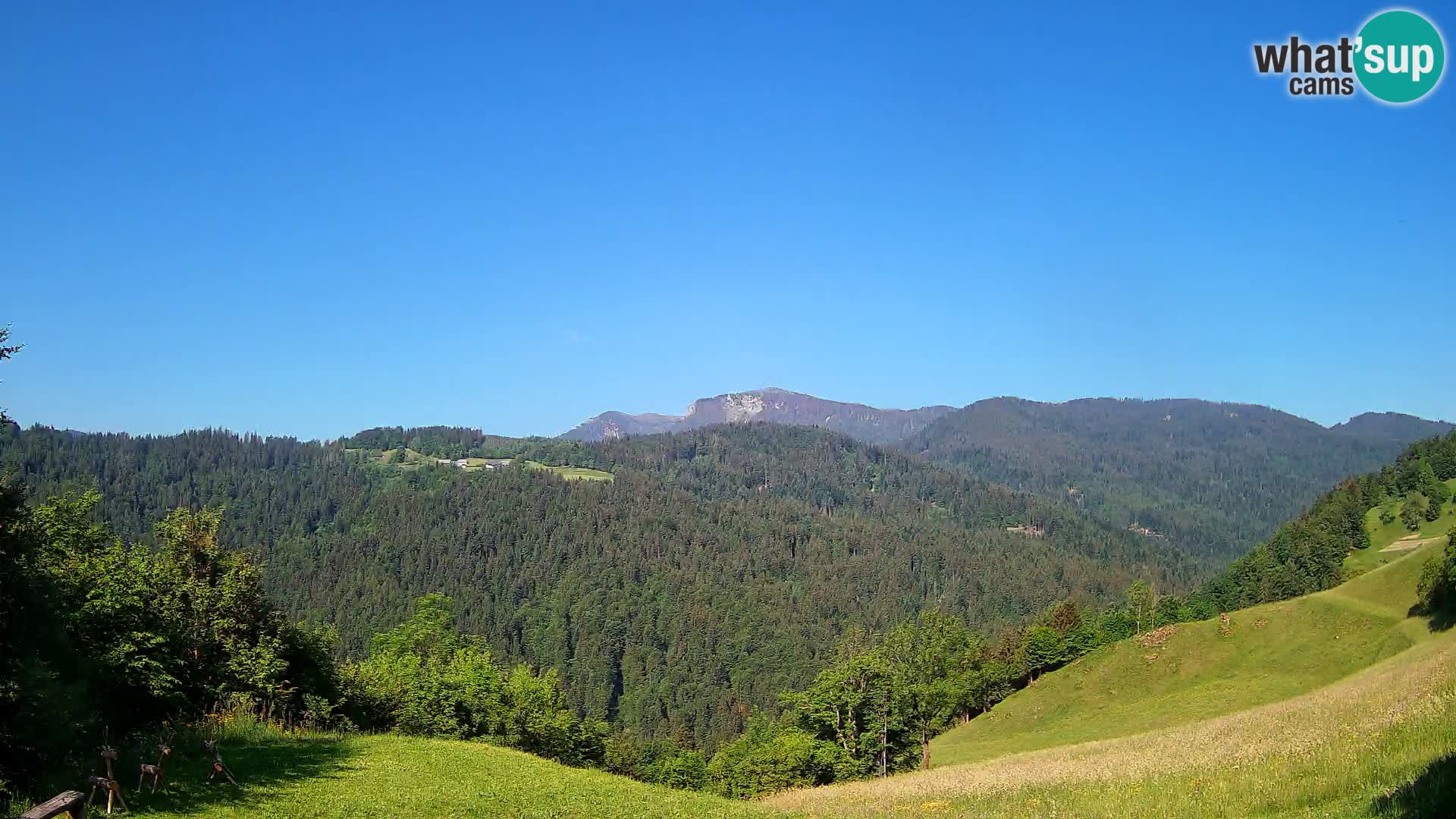 Spletna kamera Brunarica Dražgoše – Pogled v živo na Ratitovec (1666 m)