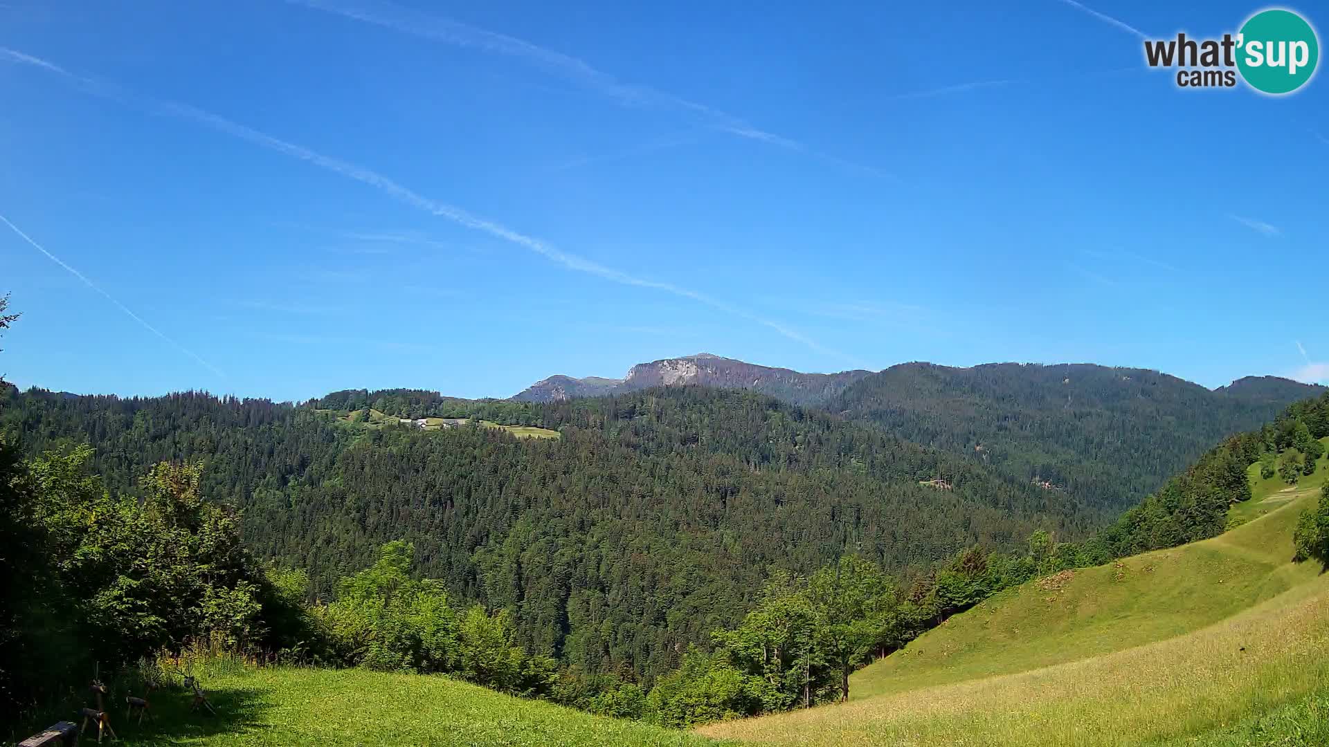Web kamera Brunarica Dražgoše – Pogled uživo na Ratitovec (1666 m)