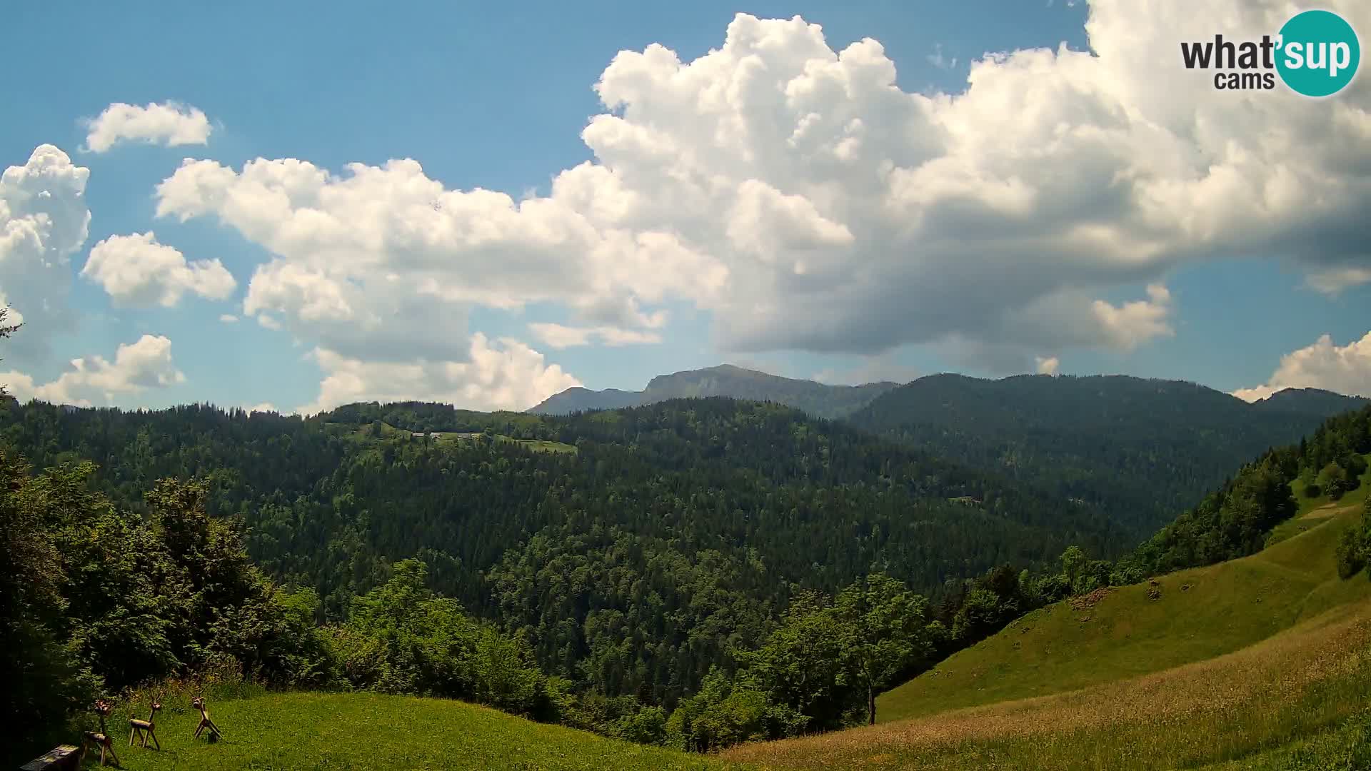 Webcam Brunarica Dražgoše – Live View of Ratitovec (1666 m)