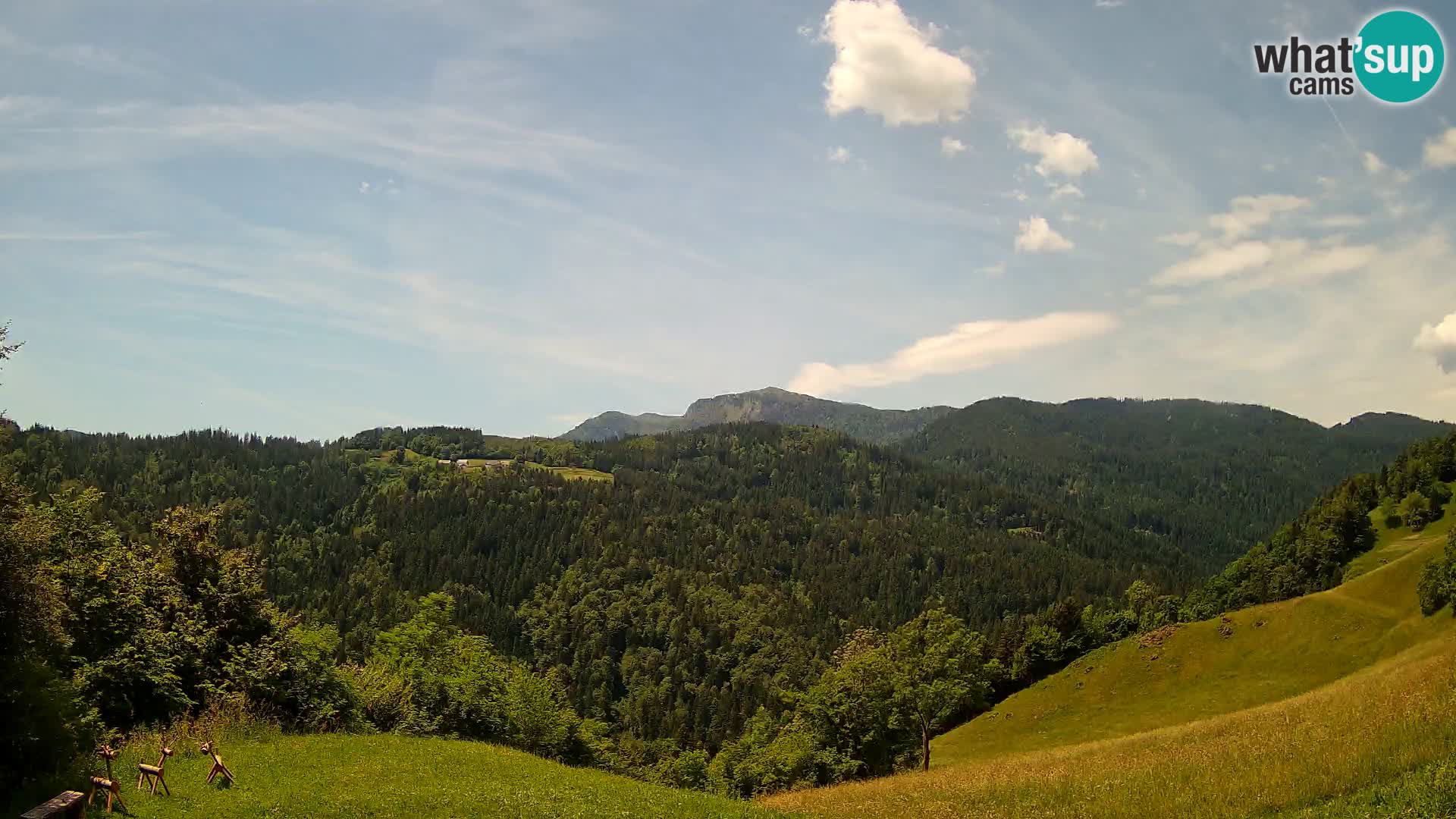 Web kamera Brunarica Dražgoše – Pogled uživo na Ratitovec (1666 m)