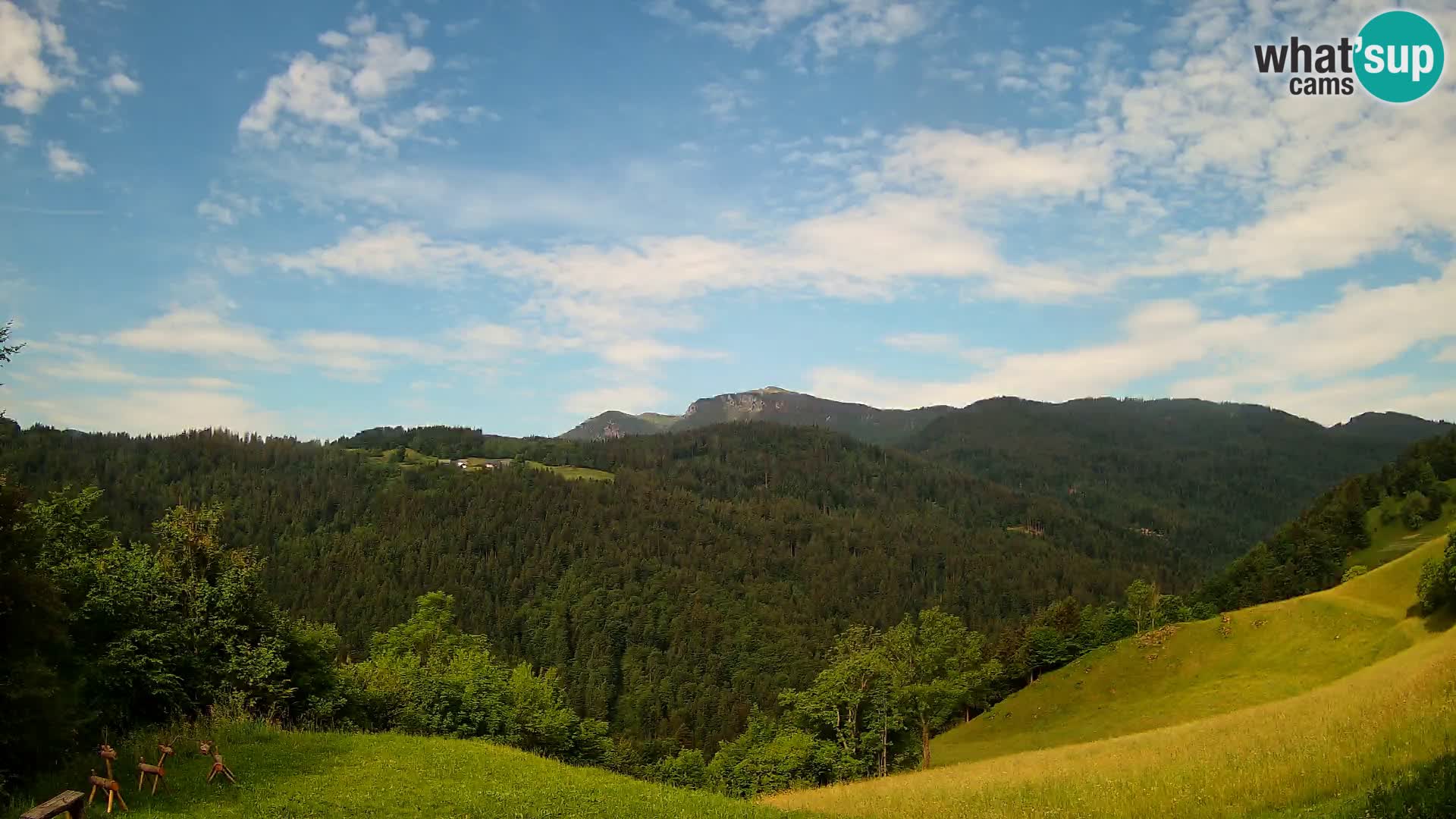 Webcam Brunarica Dražgoše – Live View of Ratitovec (1666 m)