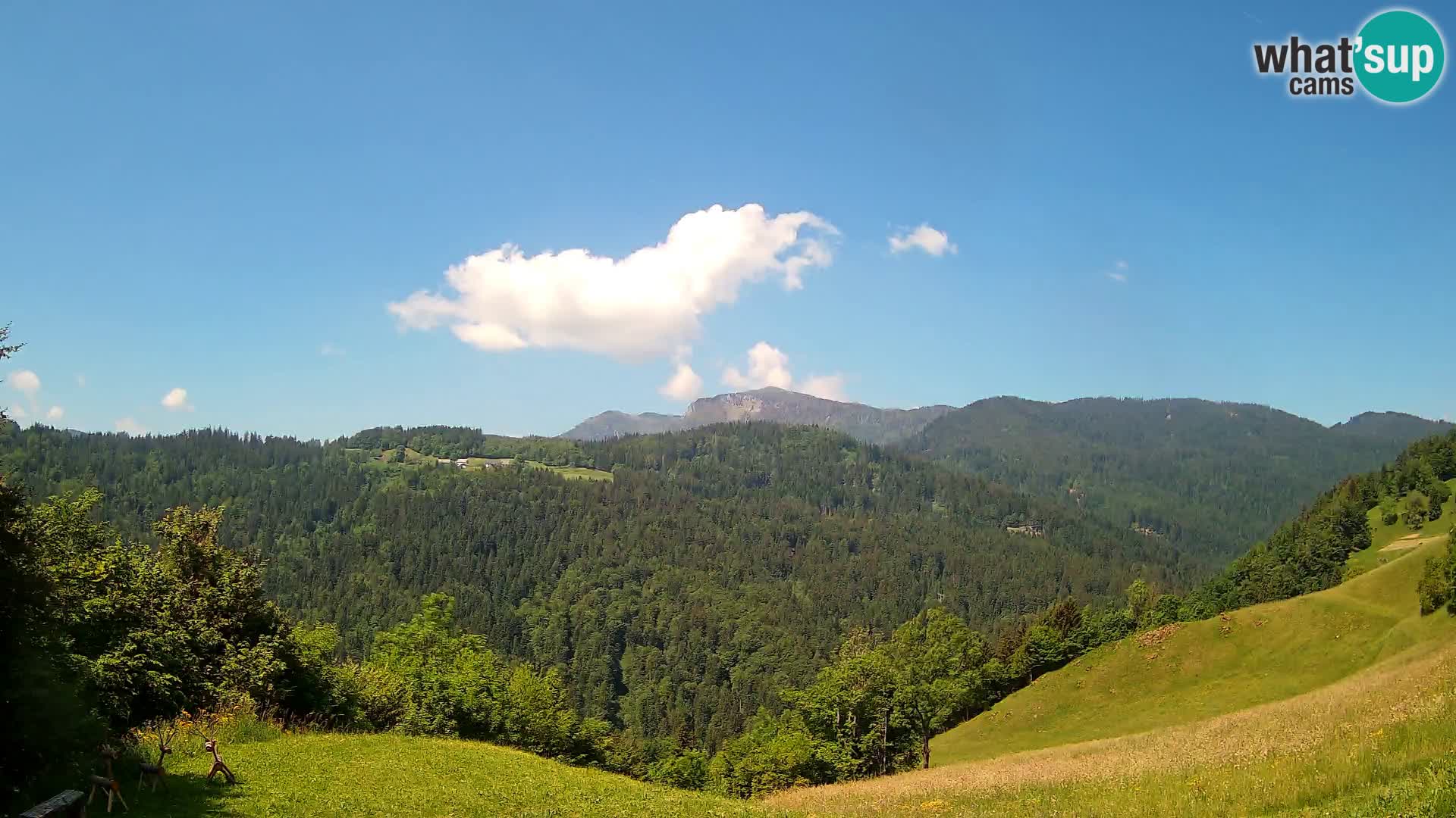 Webcam Brunarica Dražgoše – Vista live sul Ratitovec (1666 m)