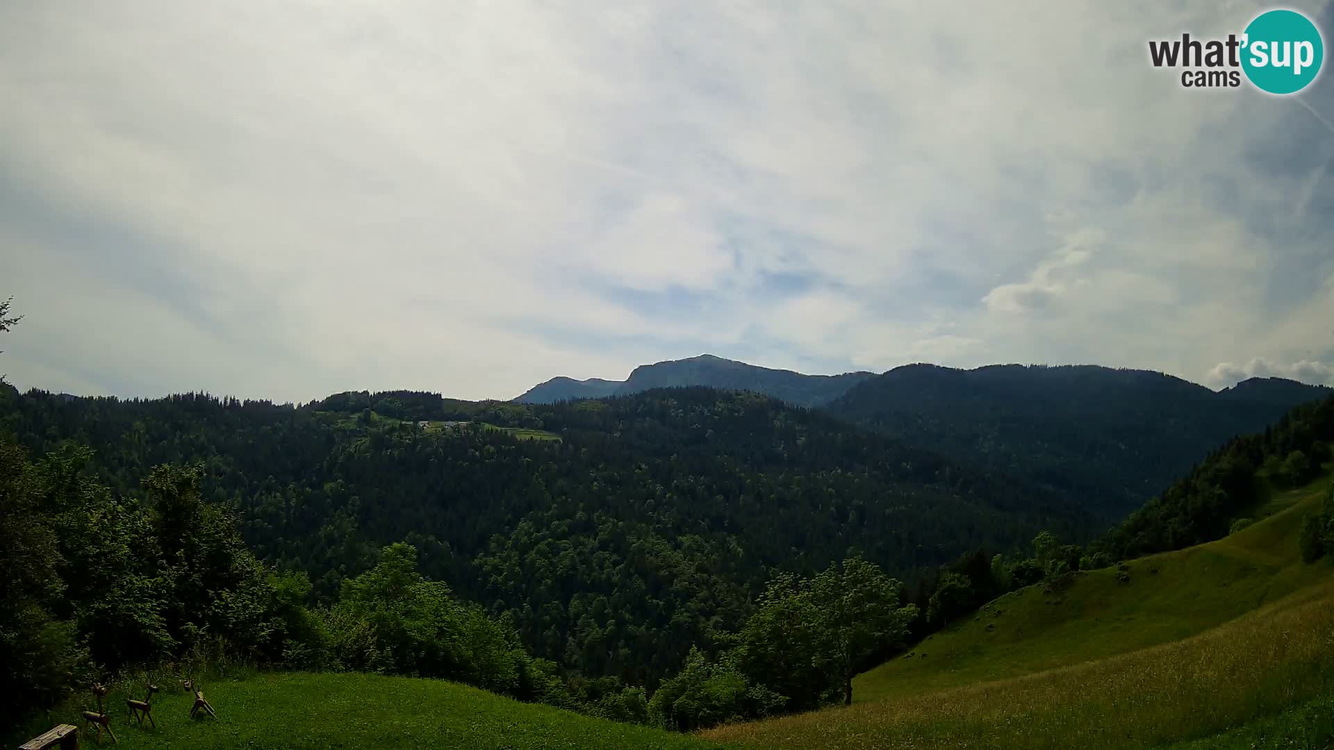 Spletna kamera Brunarica Dražgoše – Pogled v živo na Ratitovec (1666 m)