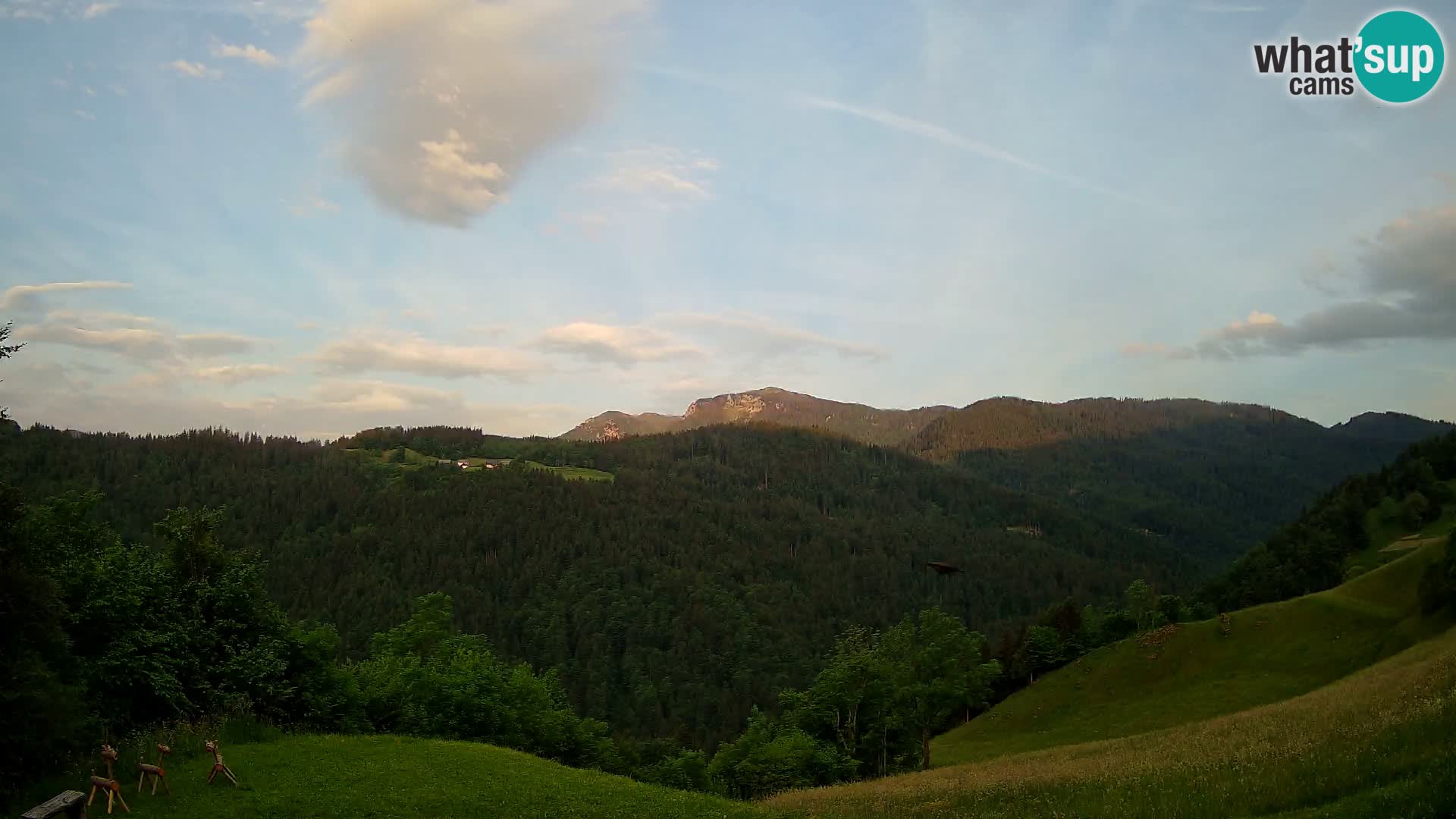 Webcam Brunarica Dražgoše – Live View of Ratitovec (1666 m)