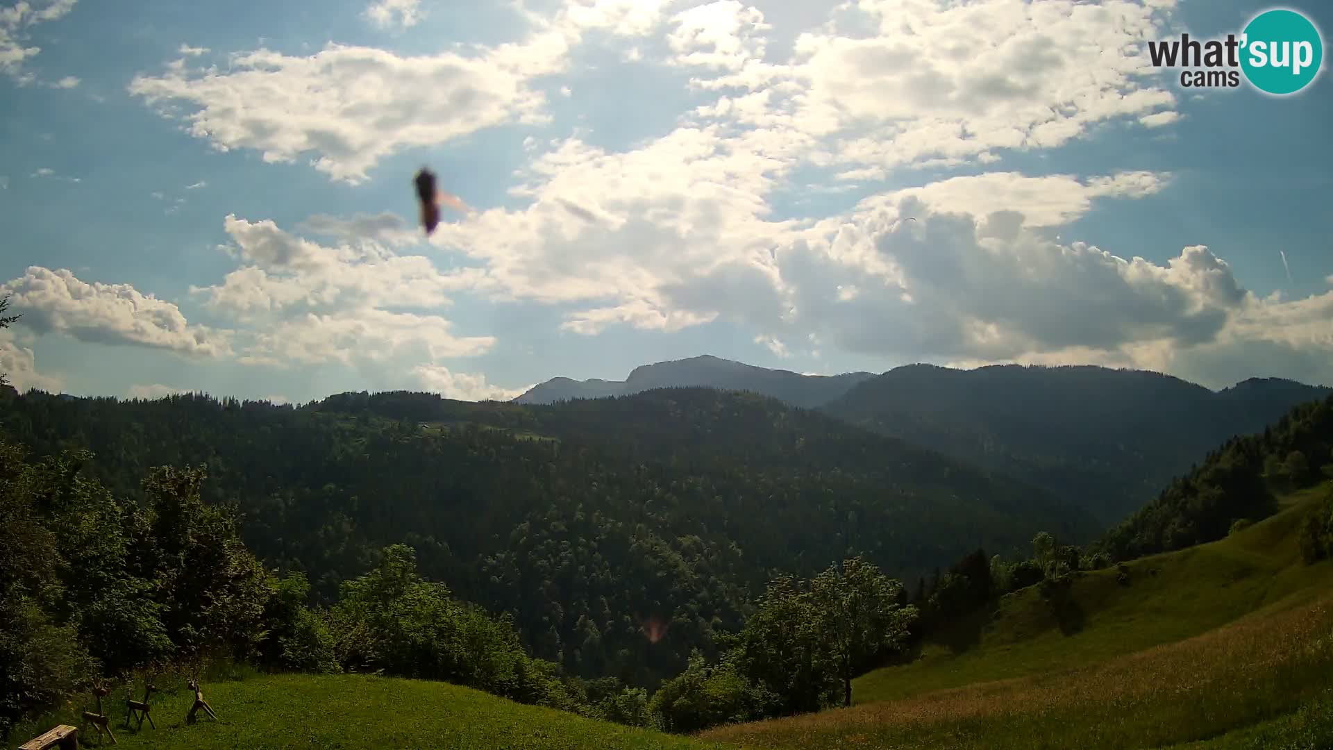 Webcam Brunarica Dražgoše – Live View of Ratitovec (1666 m)