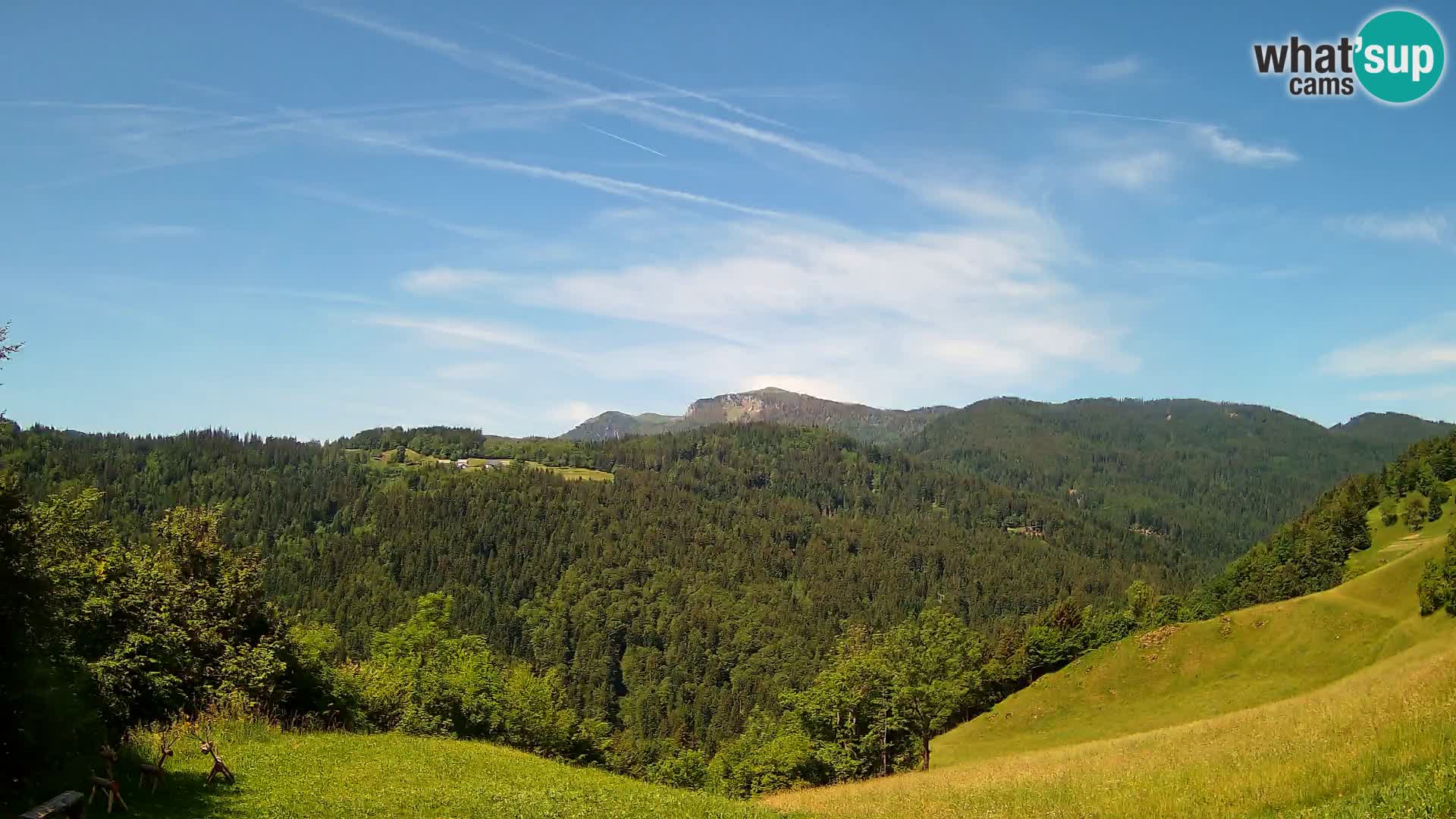 Spletna kamera Brunarica Dražgoše – Pogled v živo na Ratitovec (1666 m)