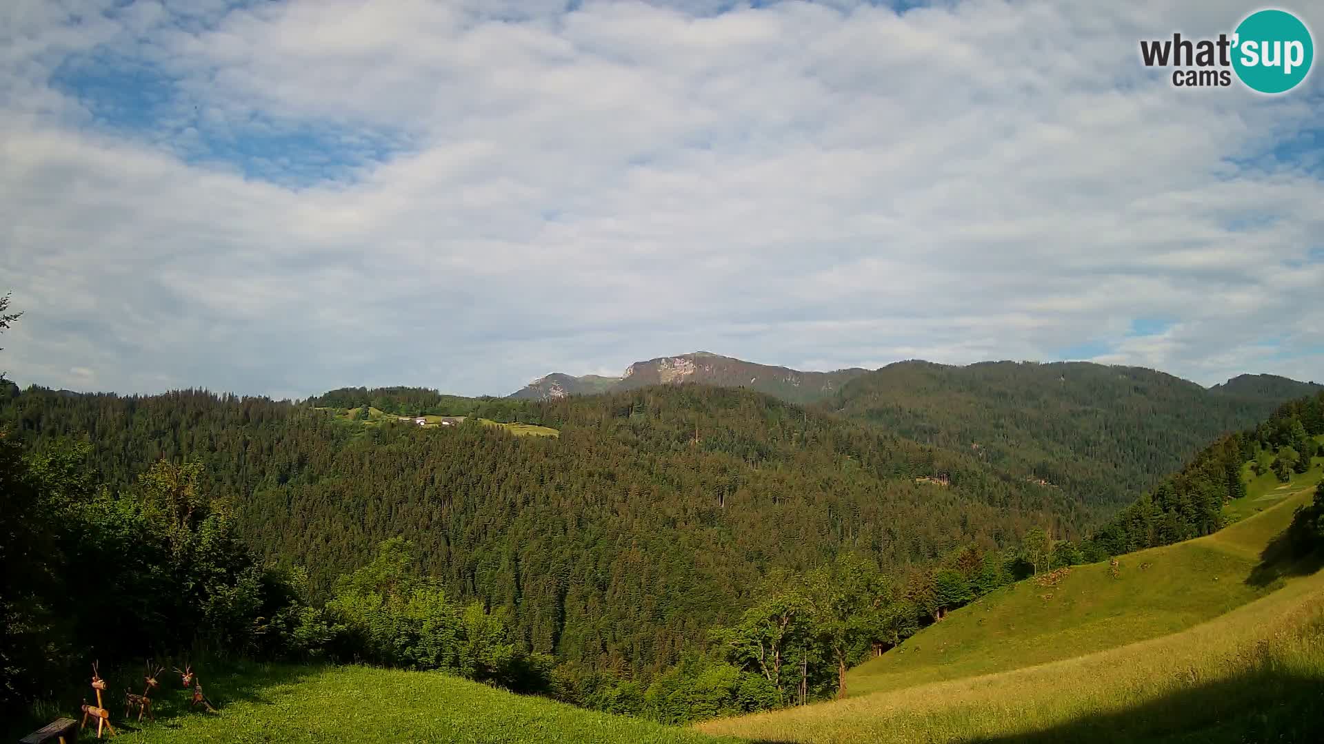Webcam Brunarica Dražgoše – Live View of Ratitovec (1666 m)